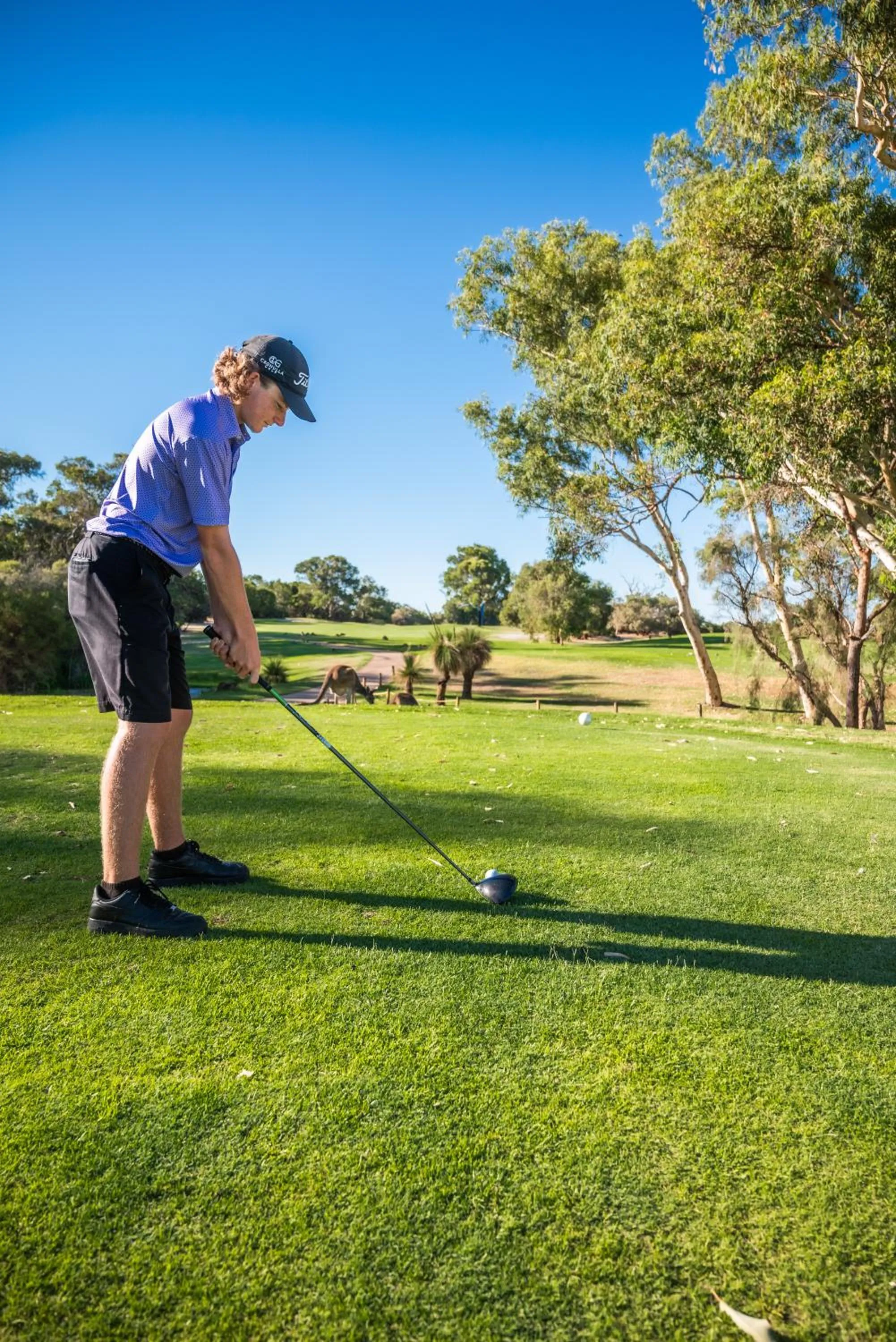 Novotel Vines Resort Swan Valley