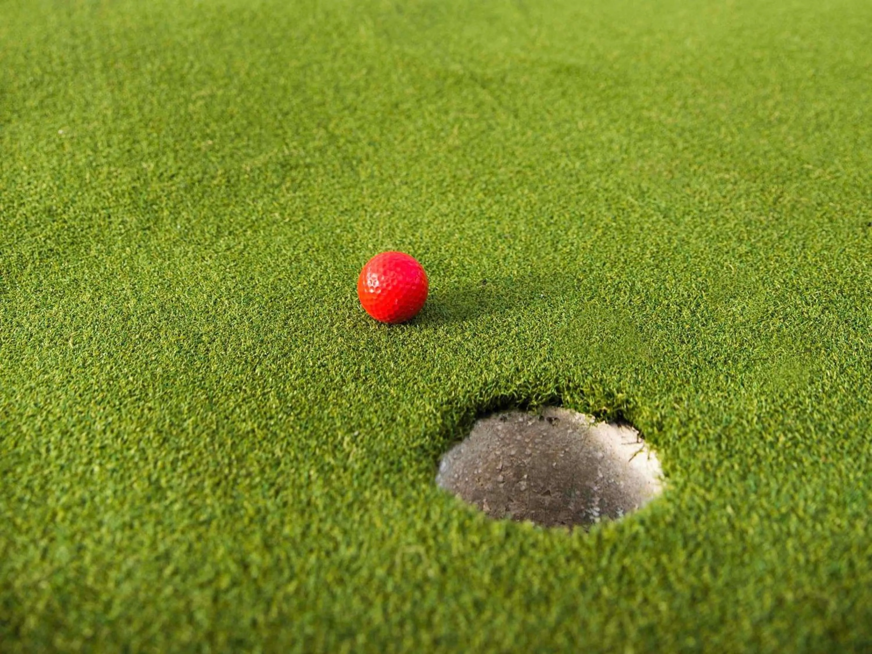 Other in Novotel Vines Resort Swan Valley