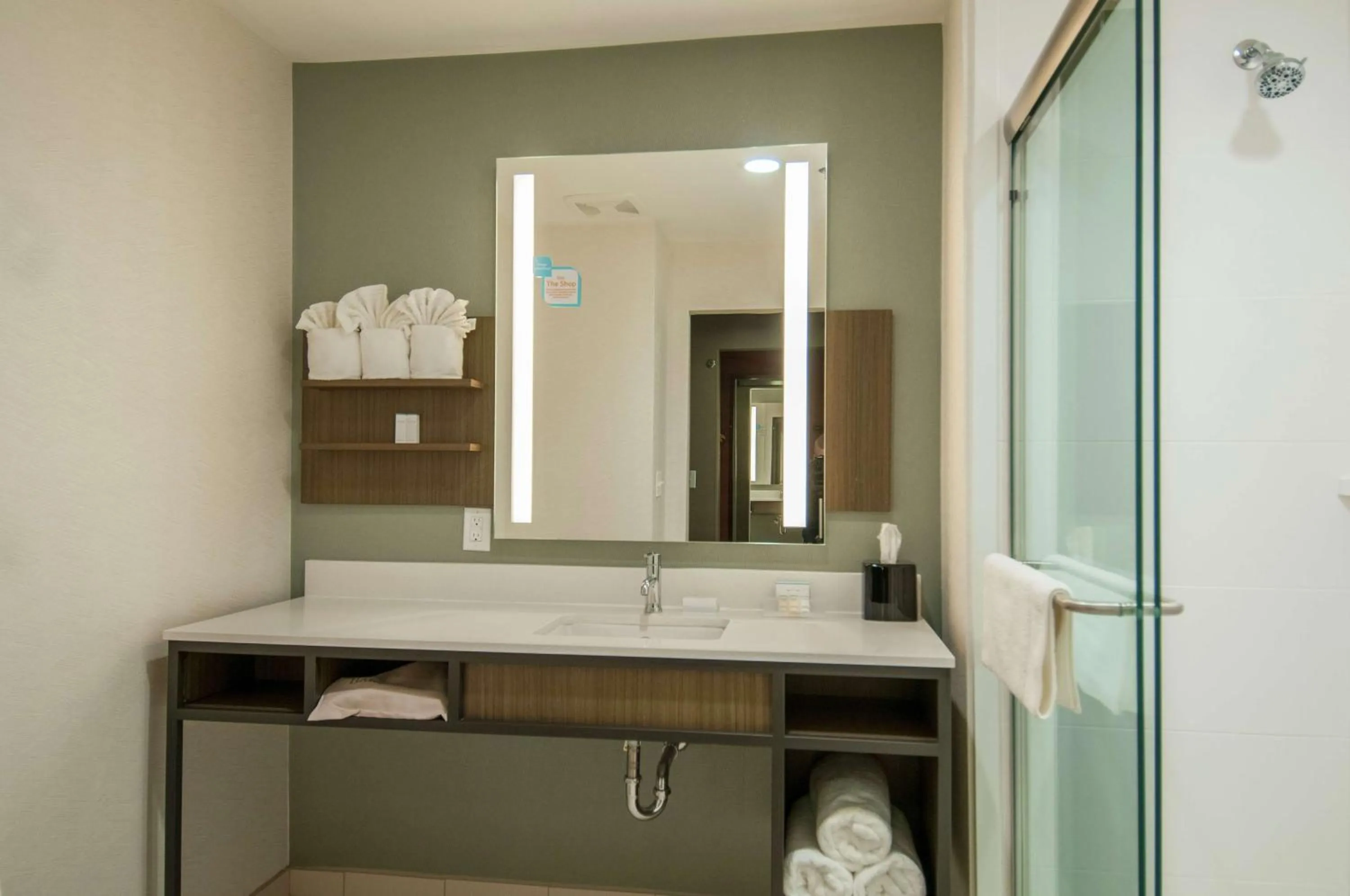 Bathroom in Hilton Garden Inn Jackson/Clinton