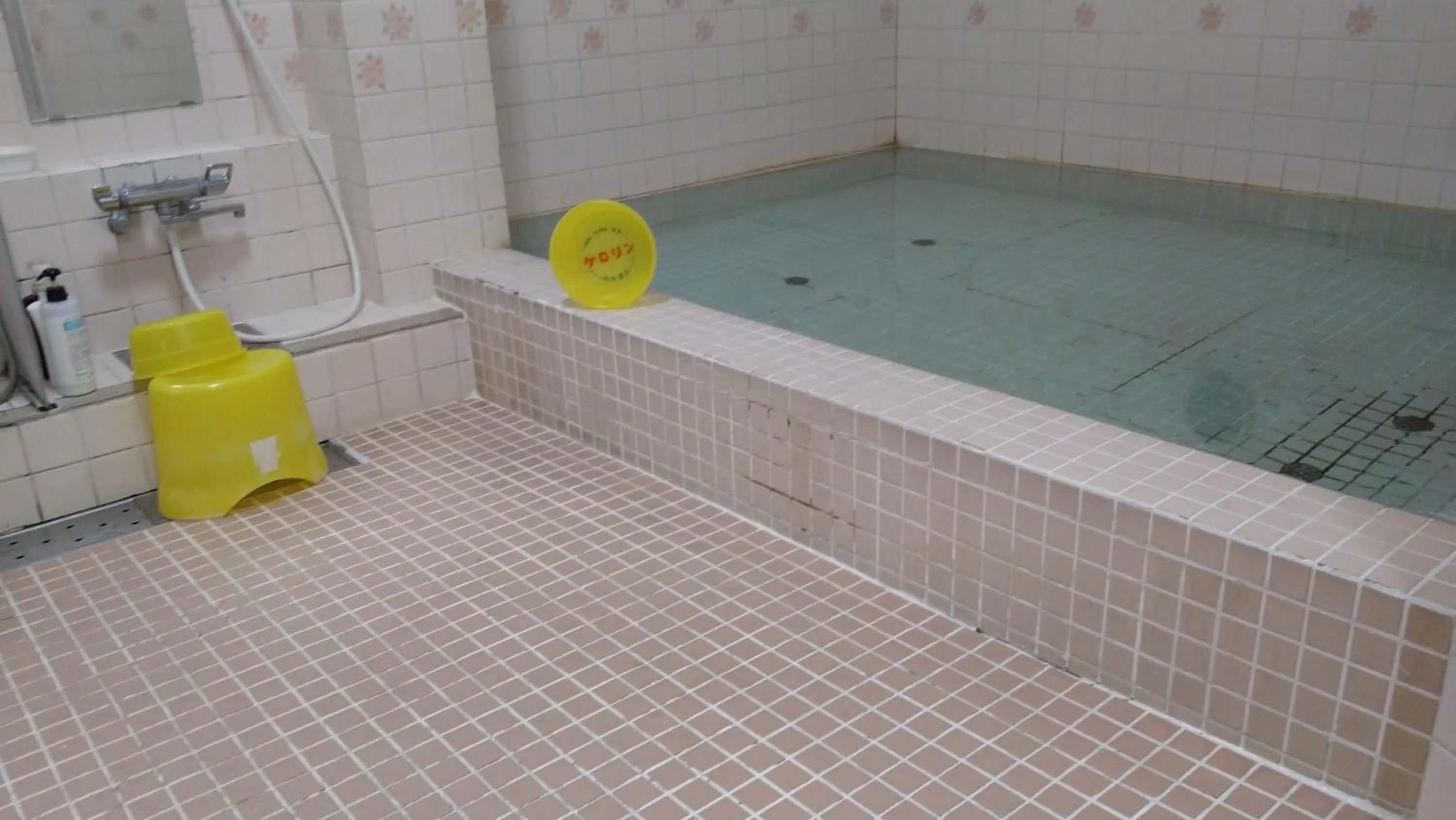 Public Bath in Hotel Mikado