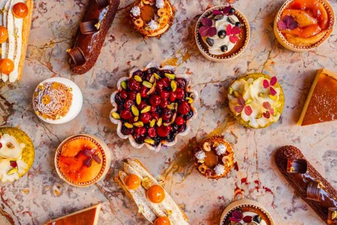 Brach Paris - Evok Collection