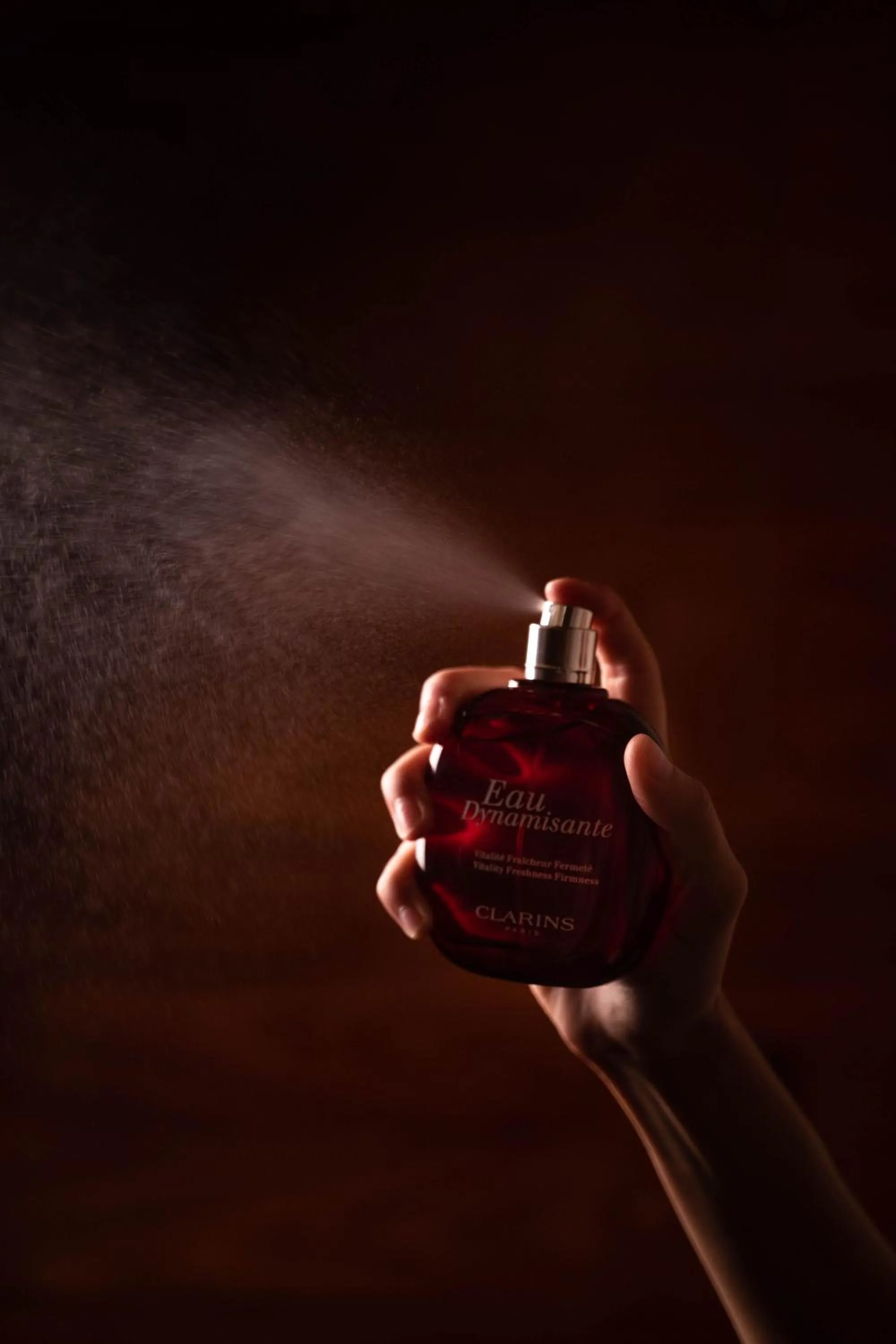 Brach Paris - Evok Collection