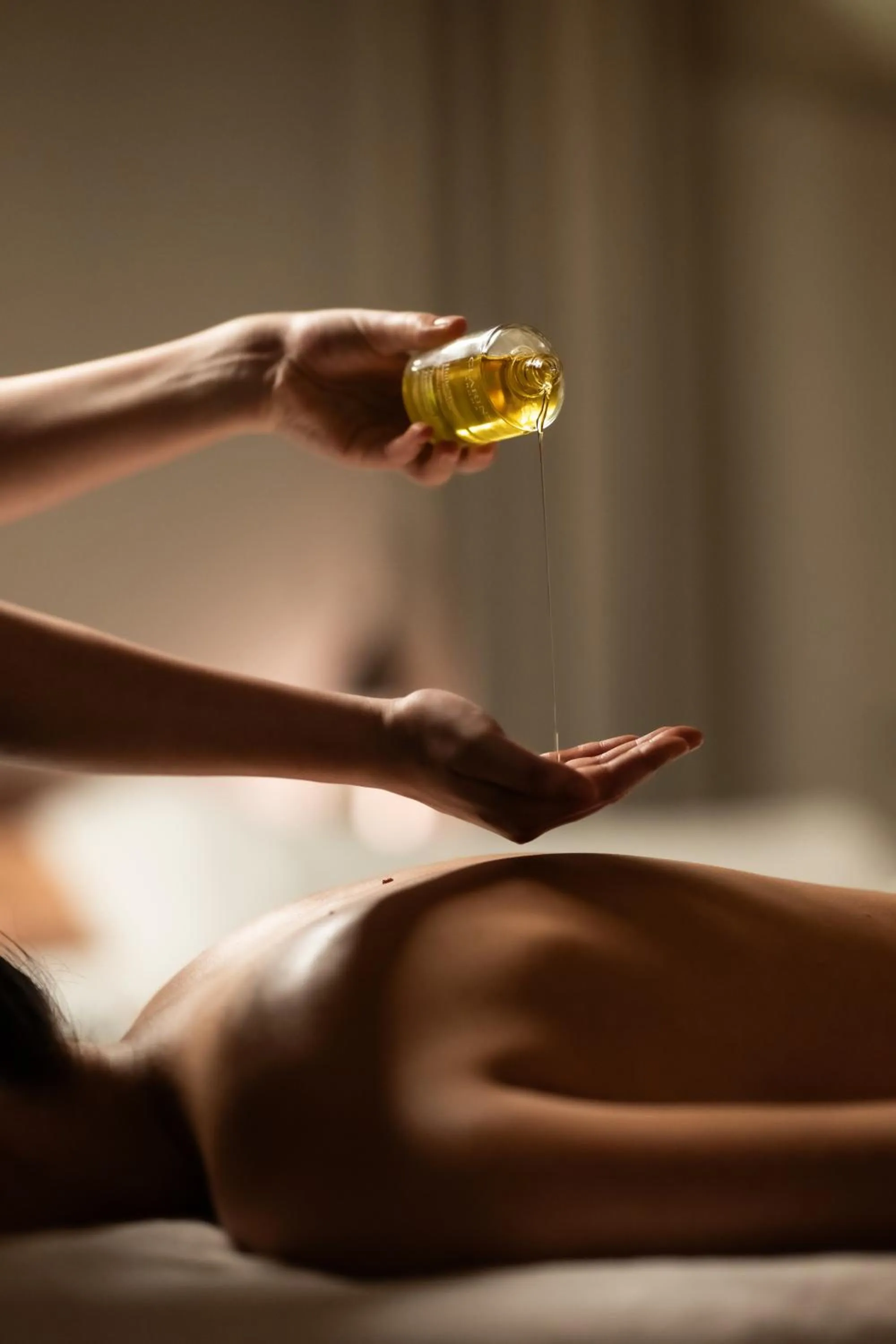 Brach Paris - Evok Collection