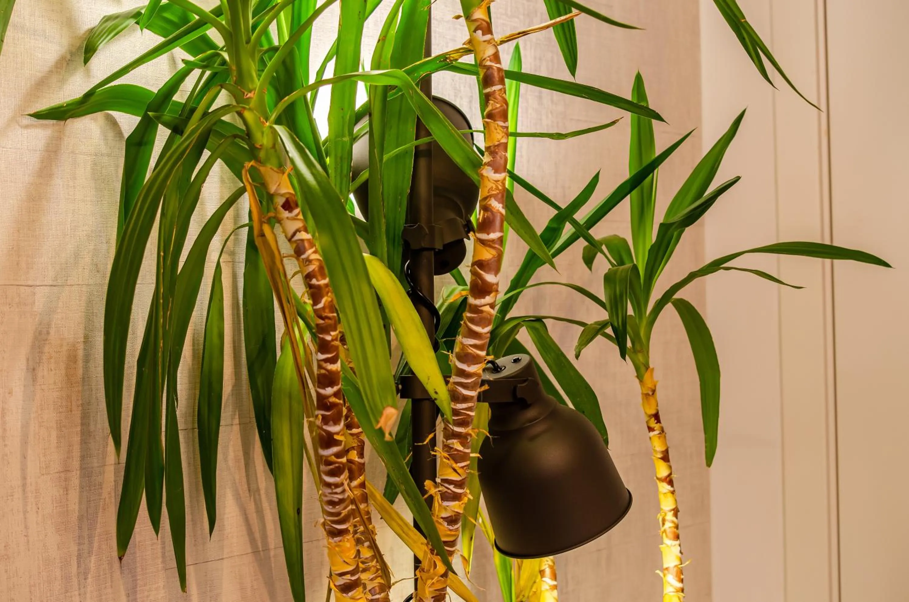 Decorative detail in LX51 Studios & Suites by APT IIN - Lisbon Center