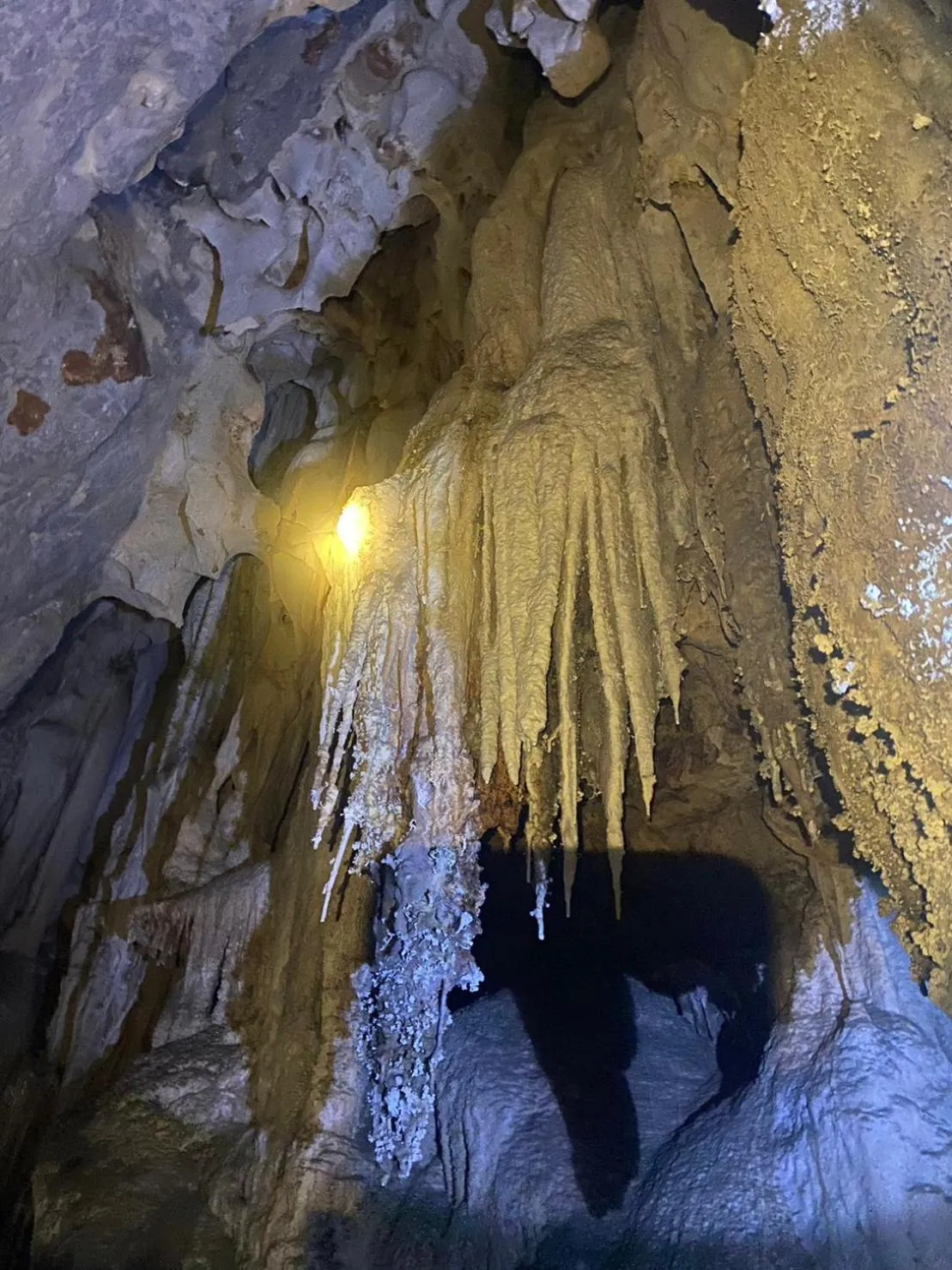 Hiking in Khao Sok Las Orquideas Resort