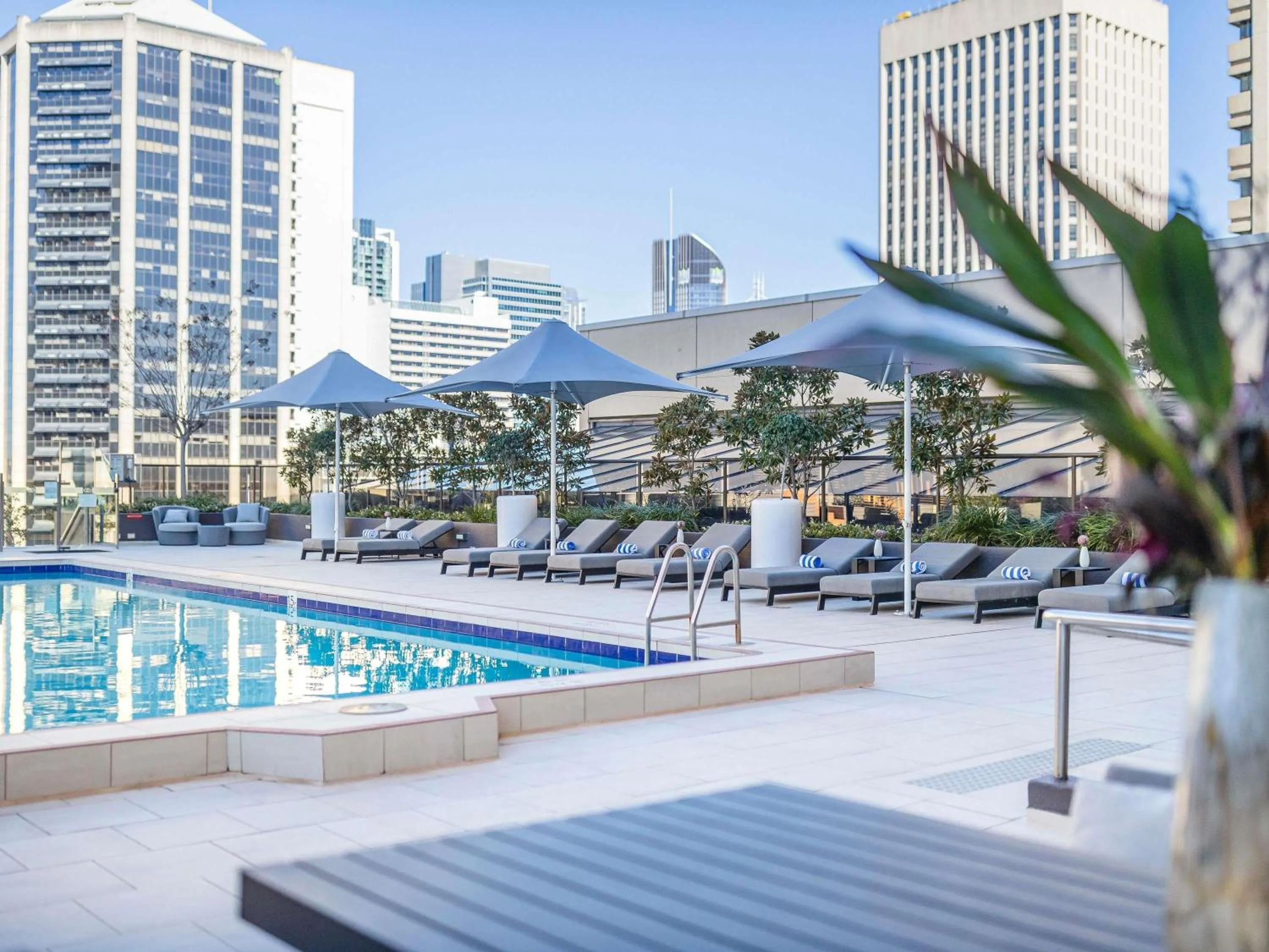 Pool view in Sofitel Brisbane Central