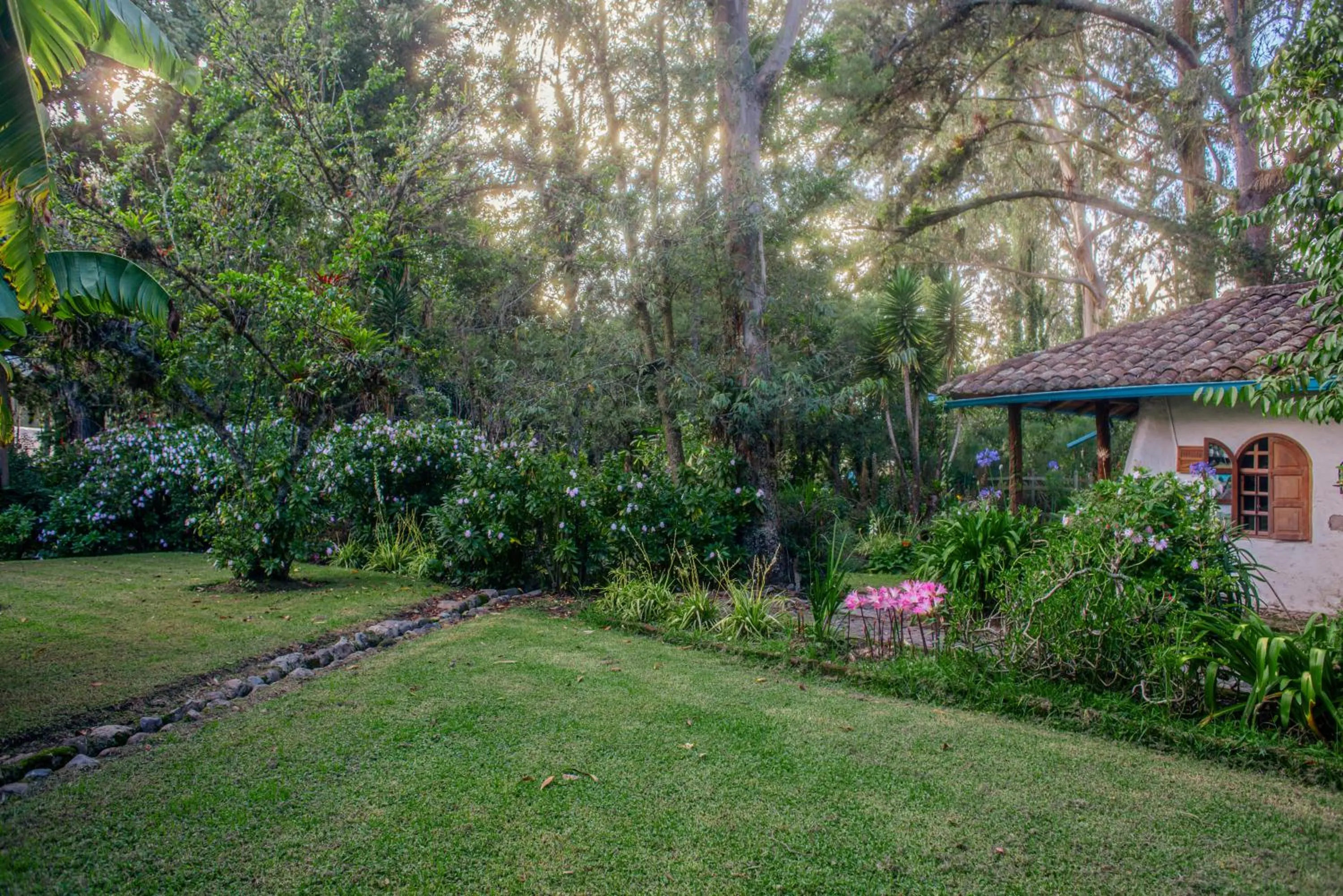 Garden in Hacienda Cusin