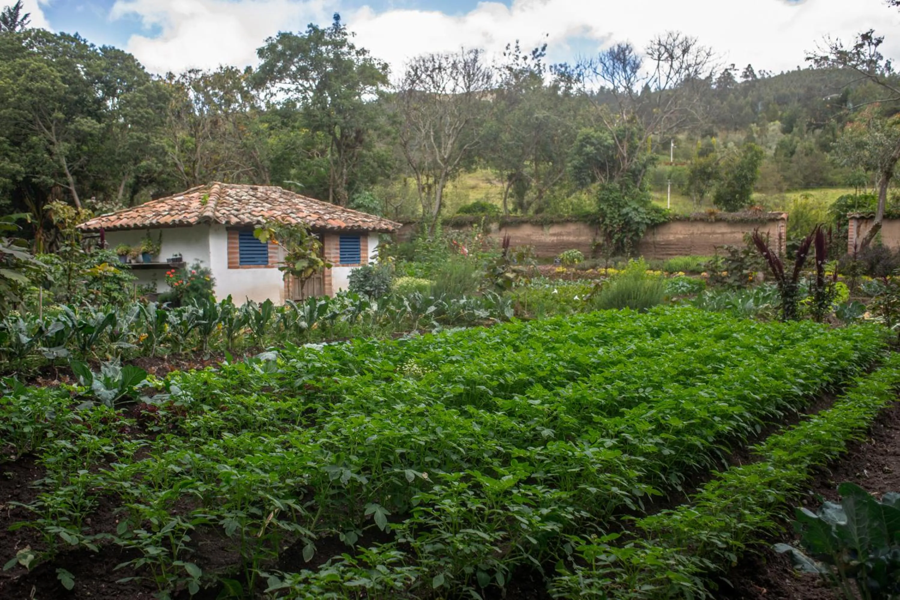 Garden in Hacienda Cusin