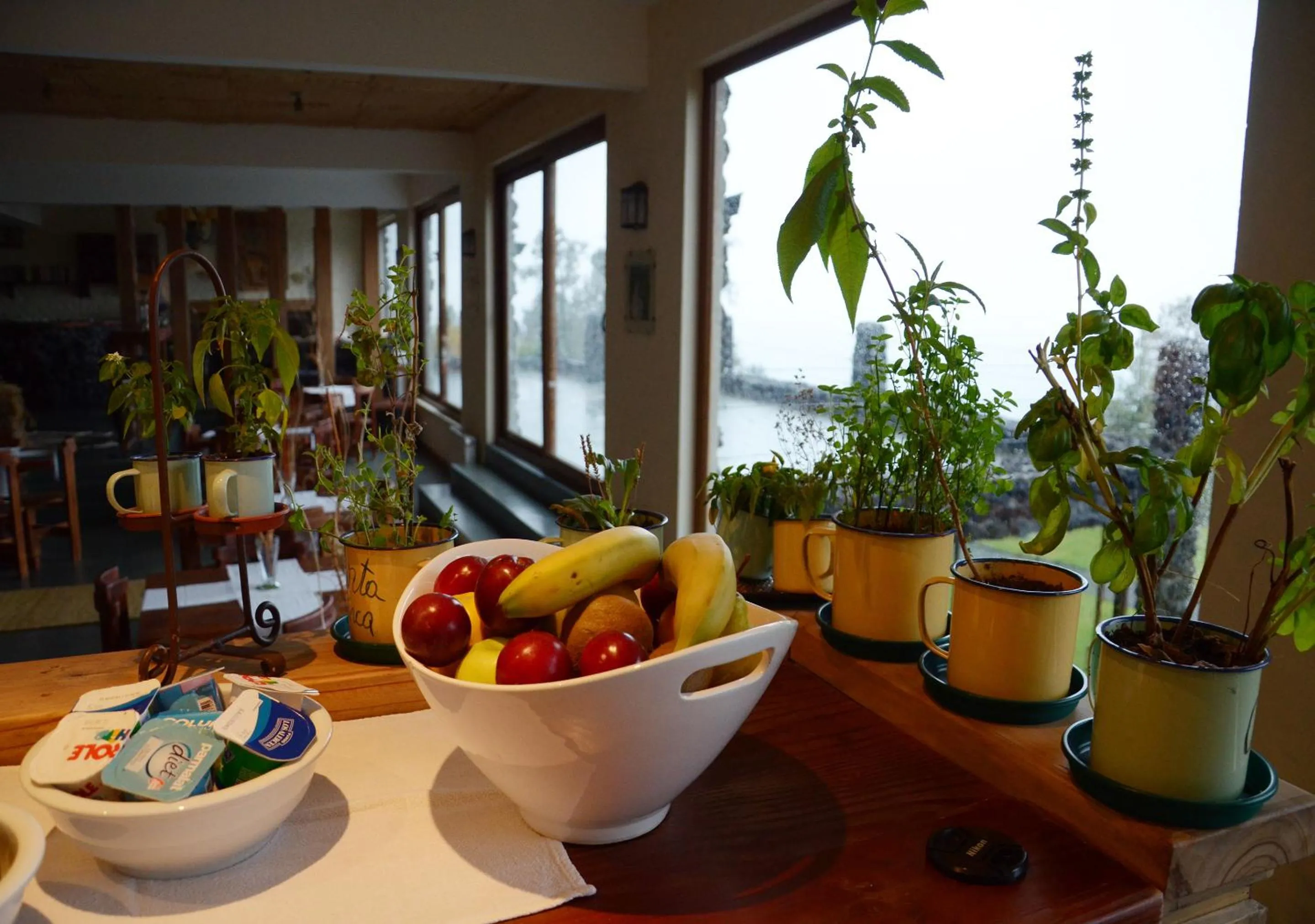 Food in Hotel CasaEstablo by DOT Boutique