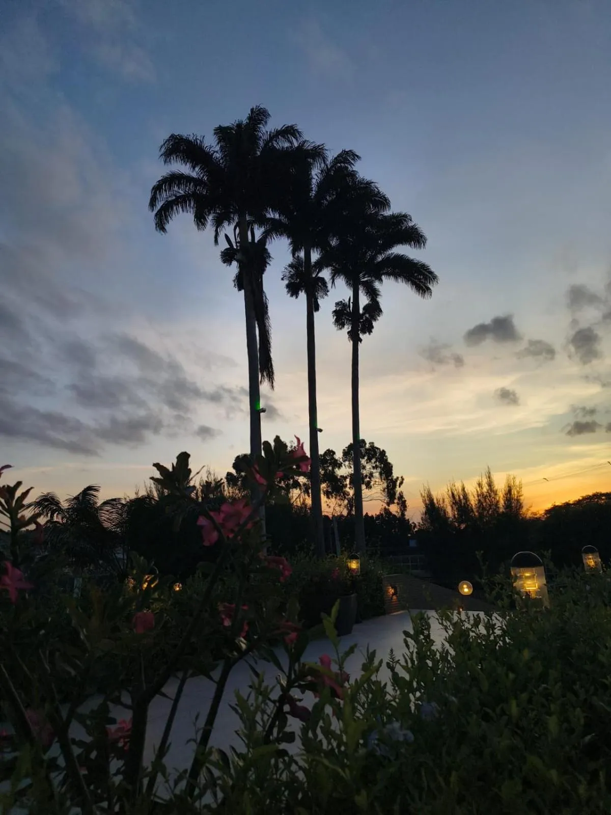 Hotel Três Palmeiras