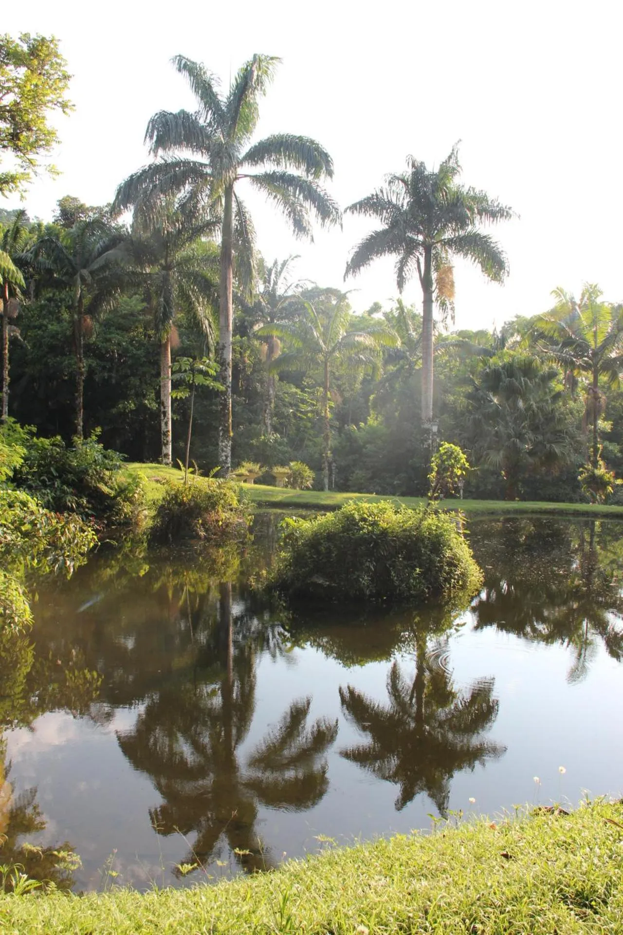 Garden in Pousada Sitio Araribá