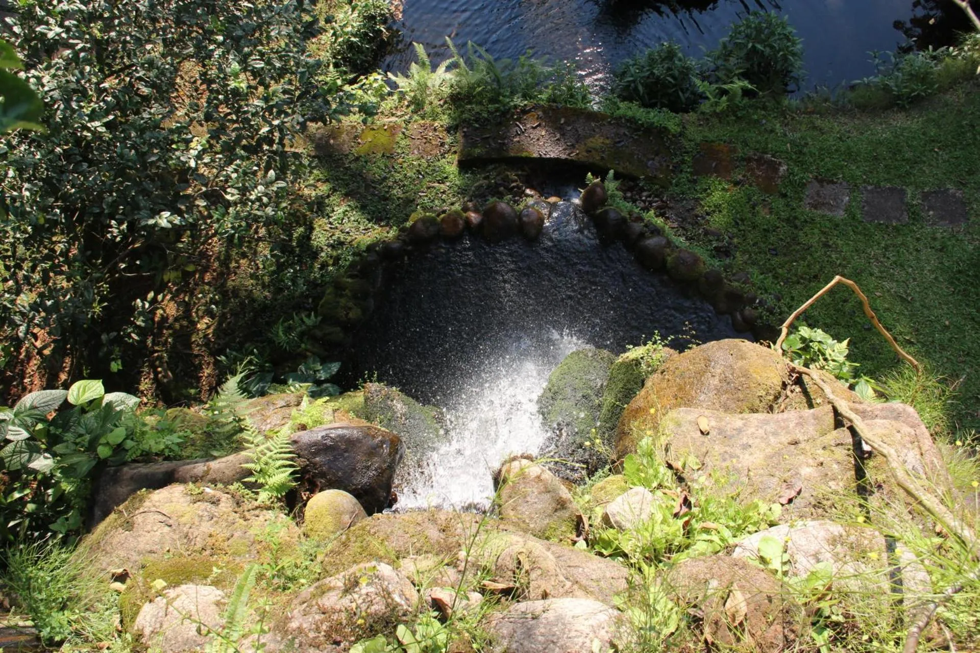 Natural landscape in Pousada Sitio Araribá