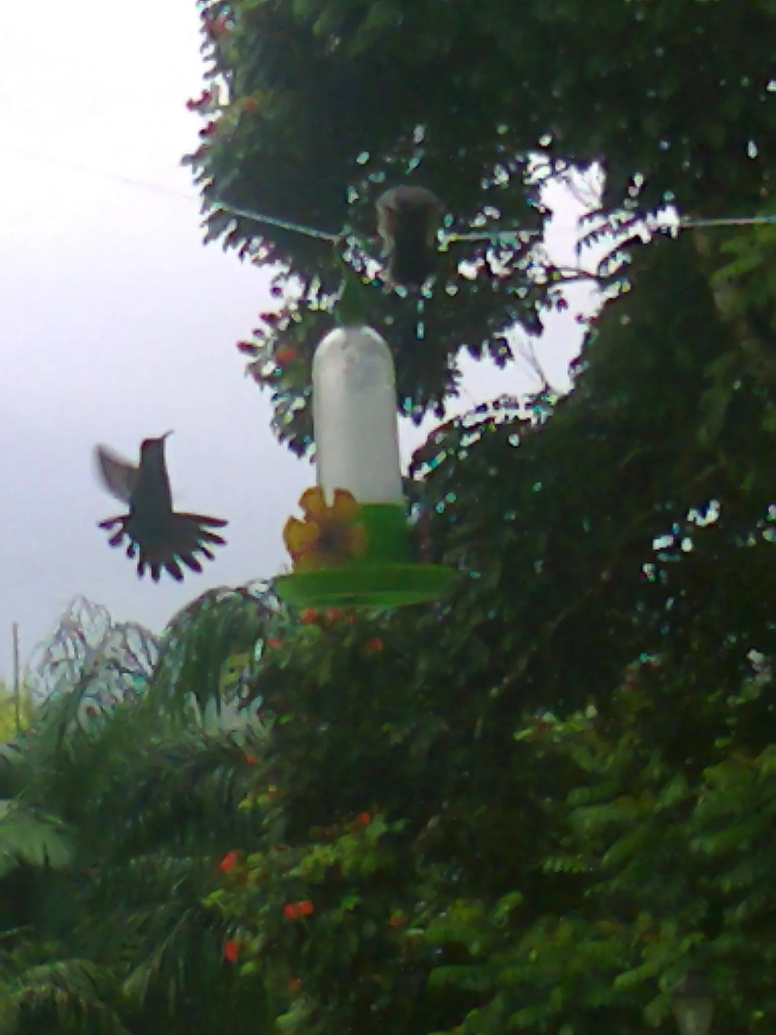 Day in Pousada Sitio Araribá