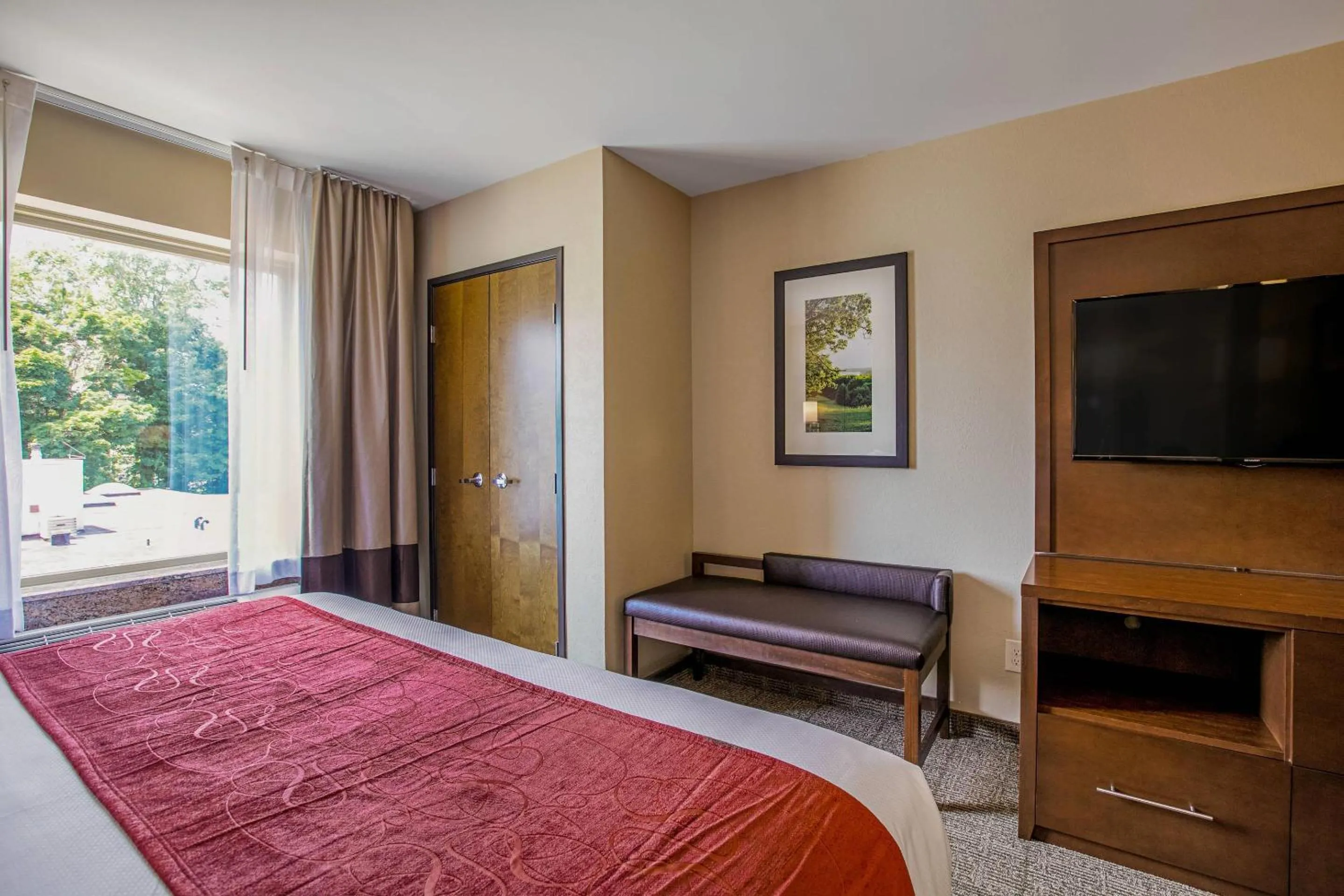 Bedroom, Bed in Comfort Suites Fishkill near Interstate 84