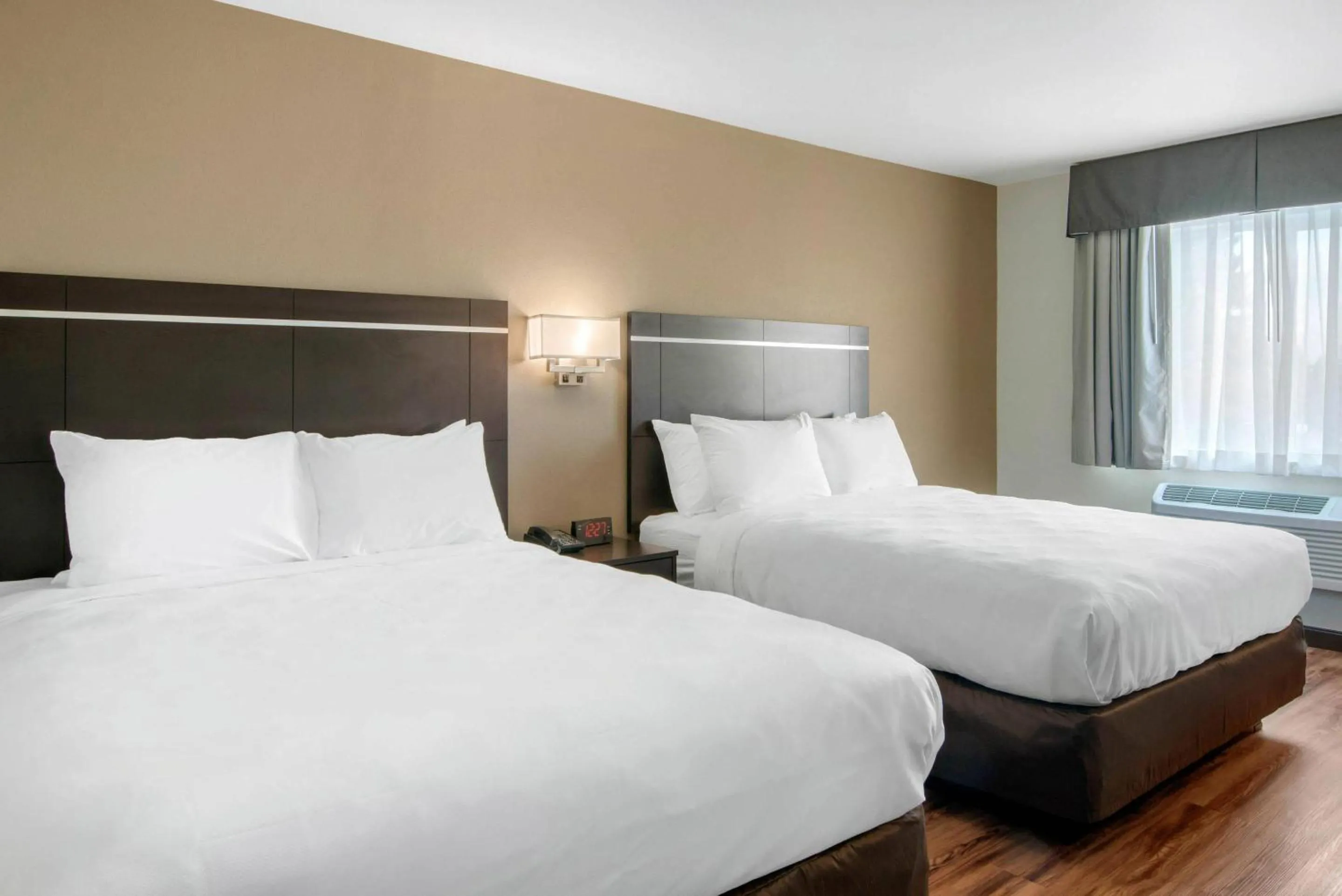 Bedroom, Bed in Econo Lodge Inn & Suites Springfield Main Street