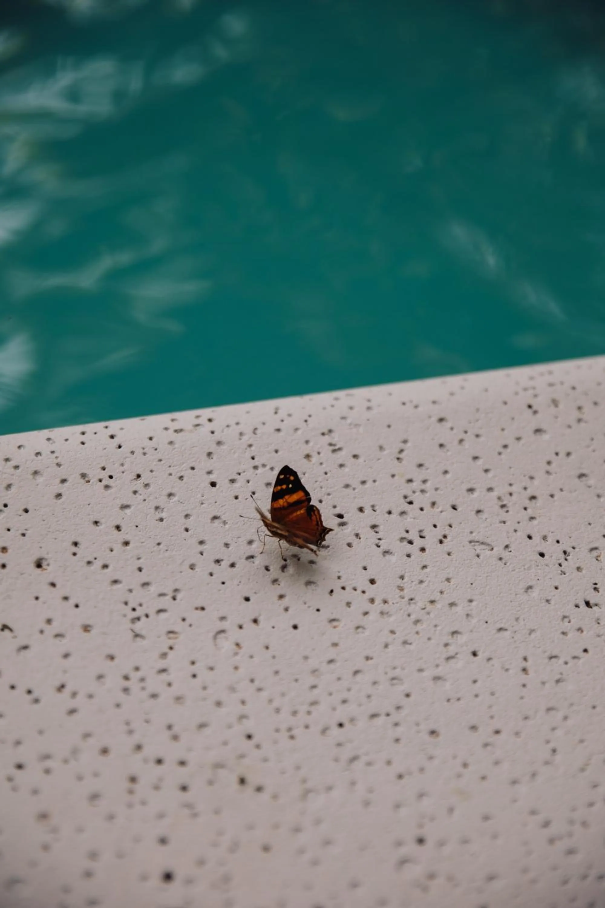 Swimming pool in Tierra Guaraní Lodge