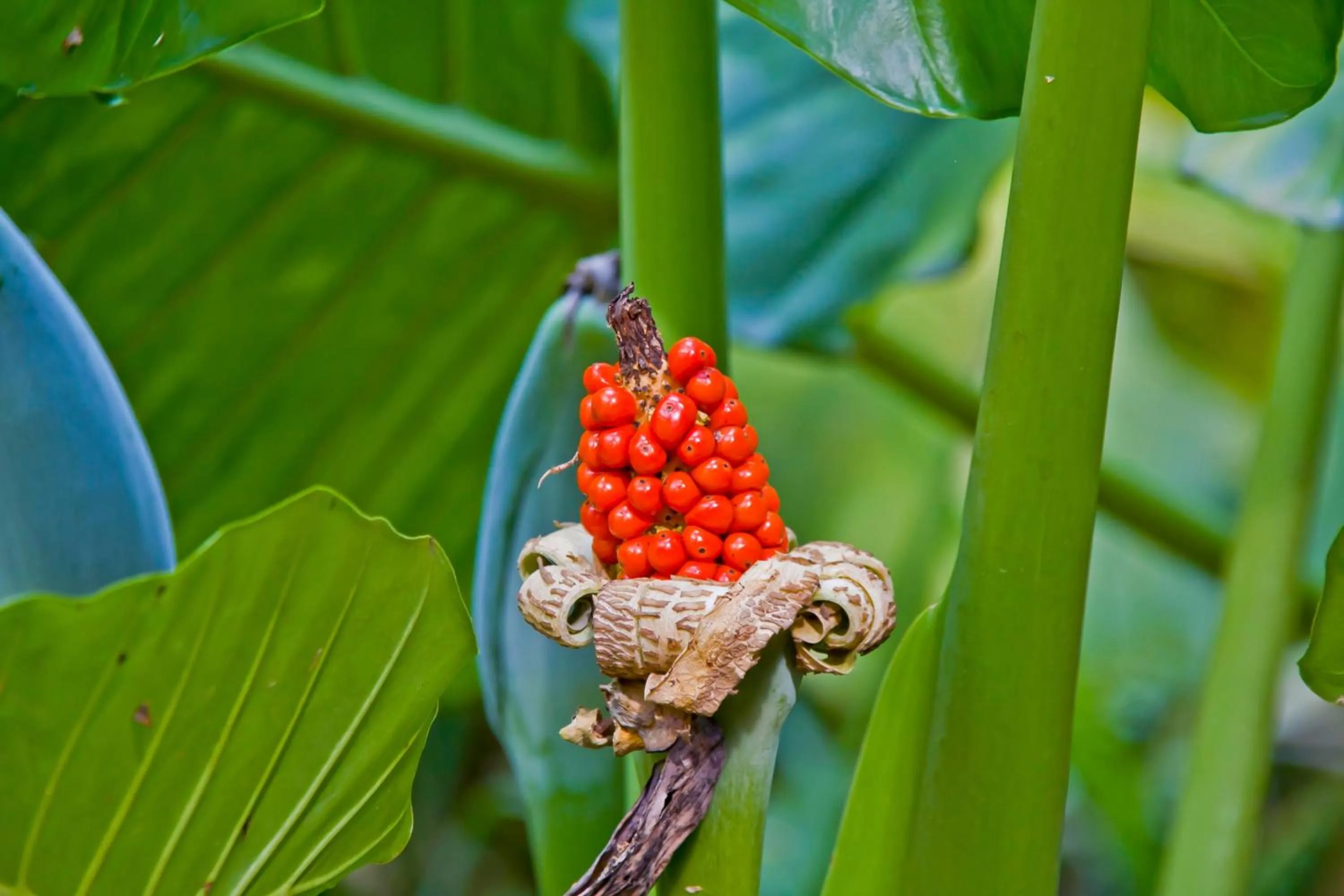 Day in Tierra Guaraní Lodge