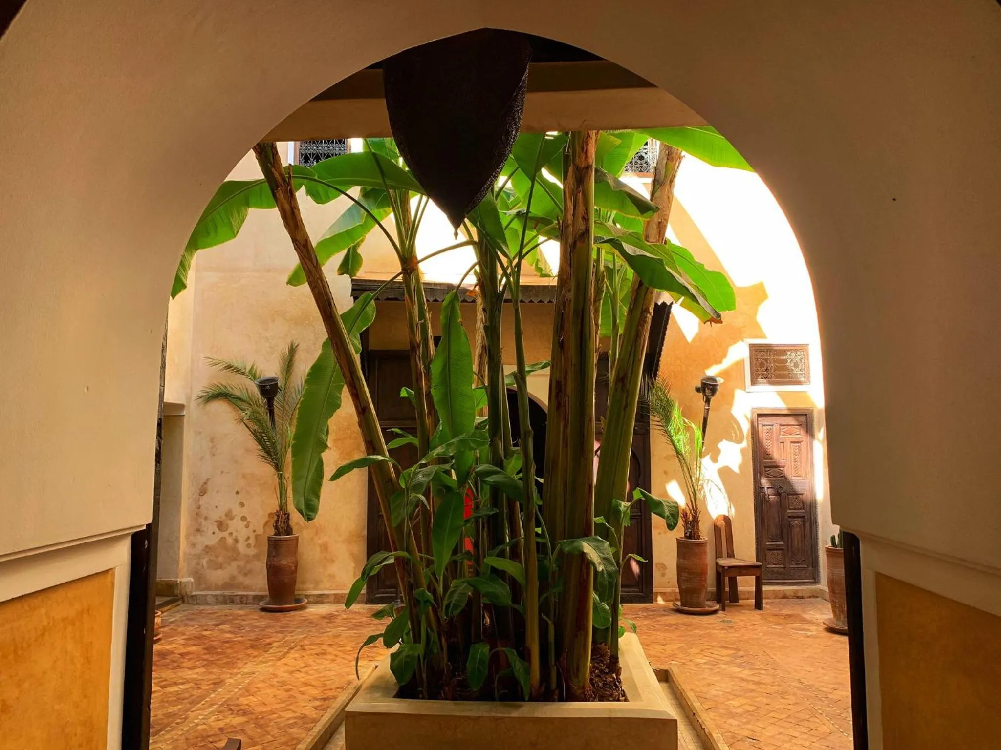 Garden in Riad Bamileke