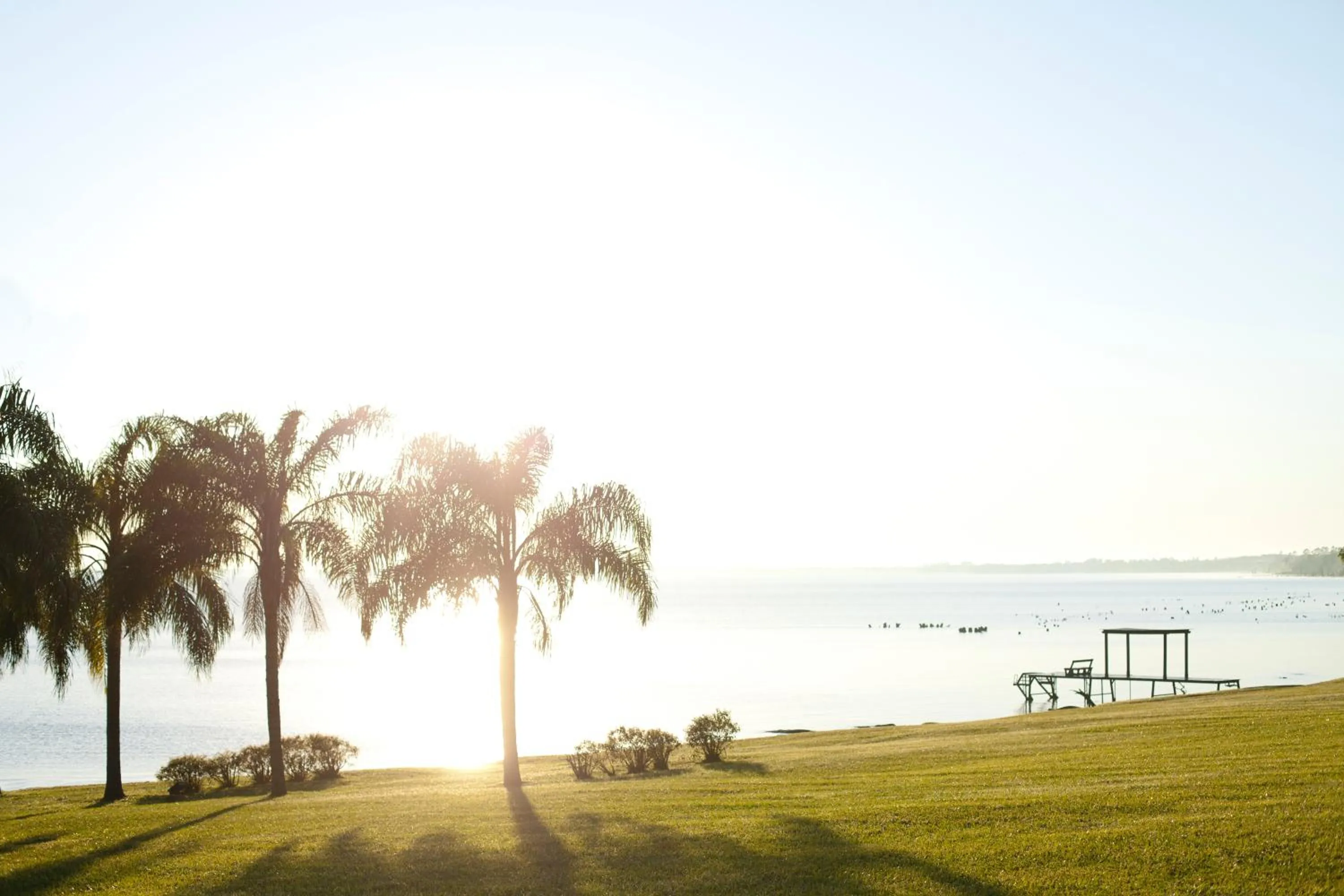 Natural landscape in Puerto Valle Hotel de Esteros