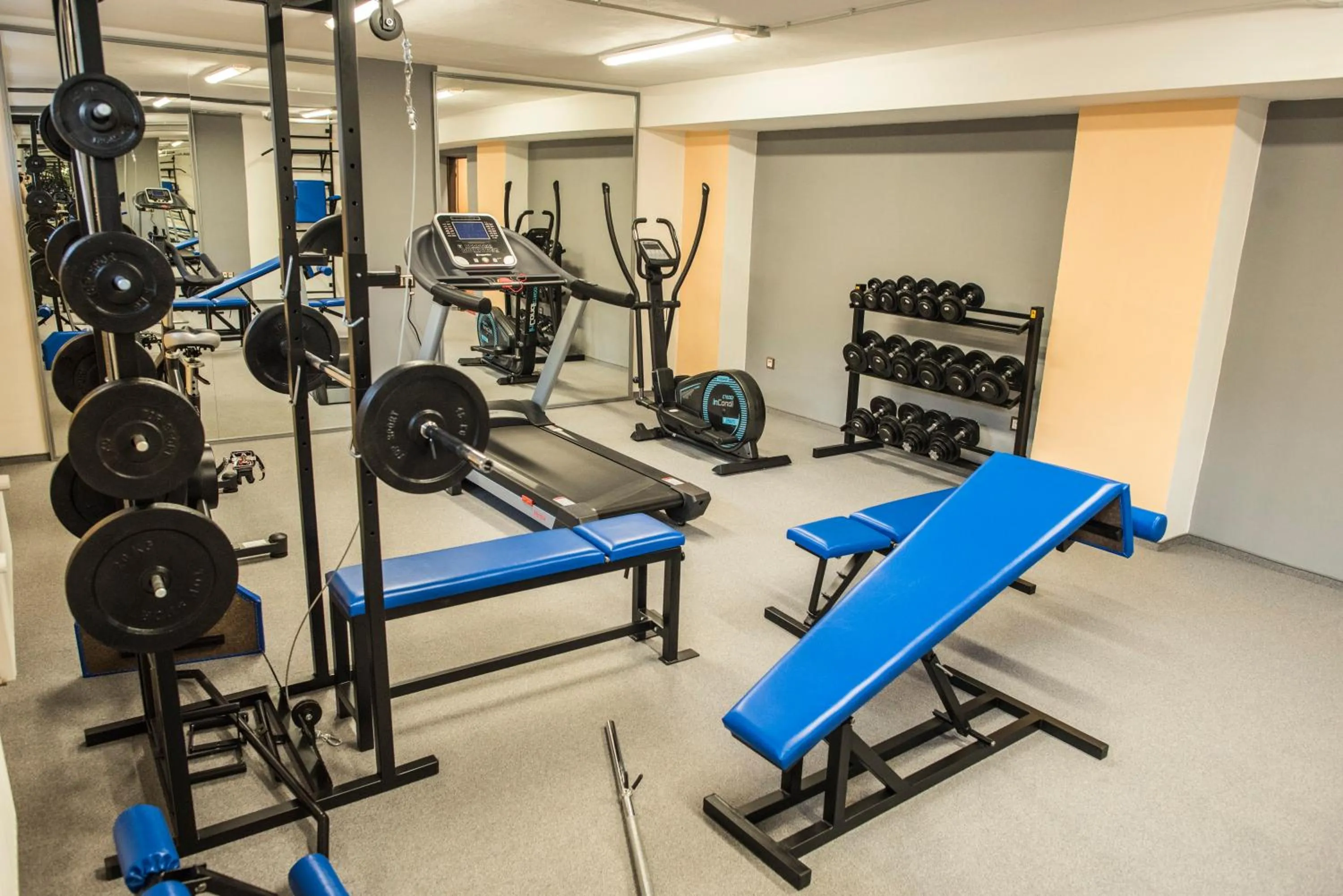 Fitness centre/facilities in Hotel Na Vývoji