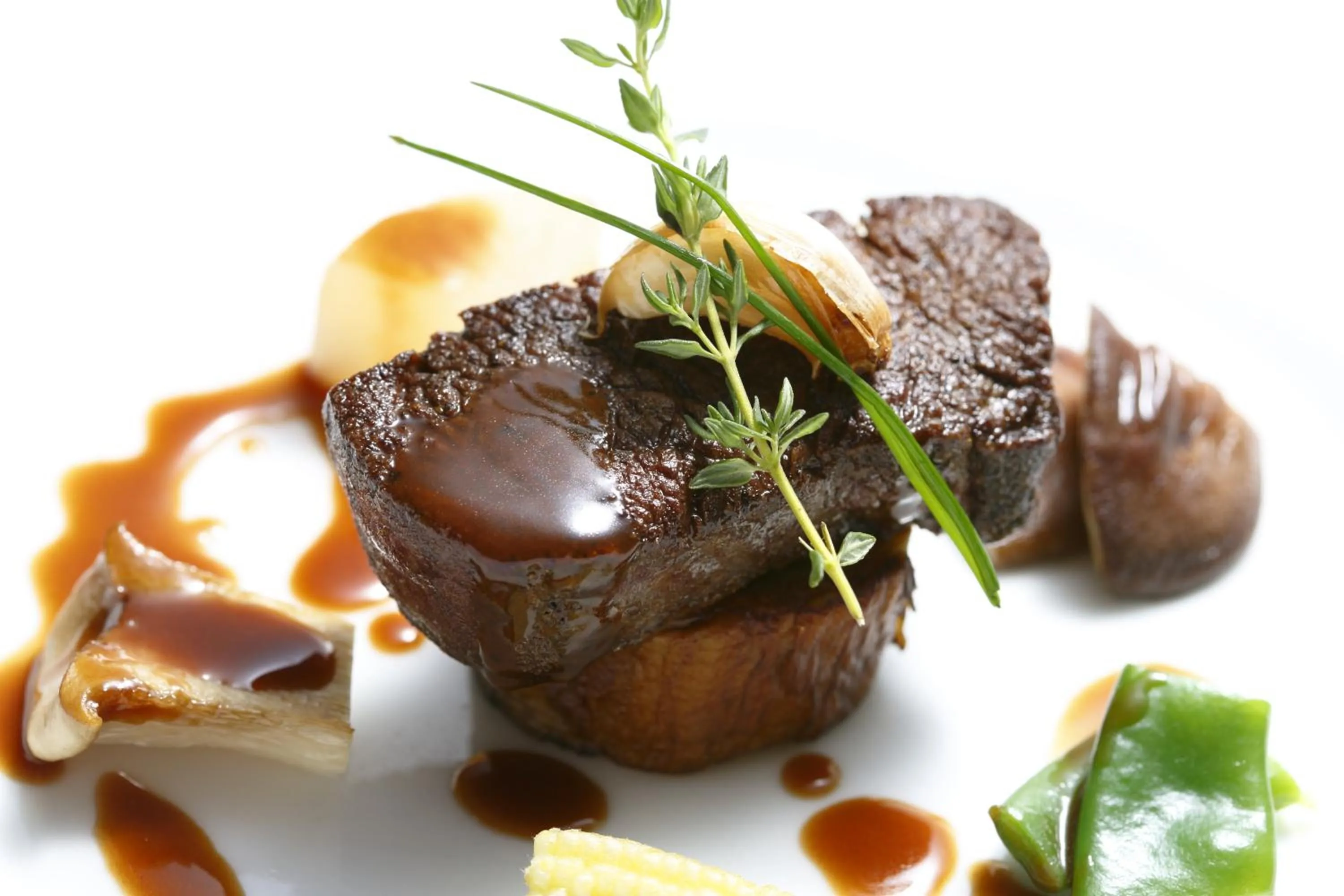 Restaurant/places to eat in TOYOTA Shirakawa-Go Eco-Institute