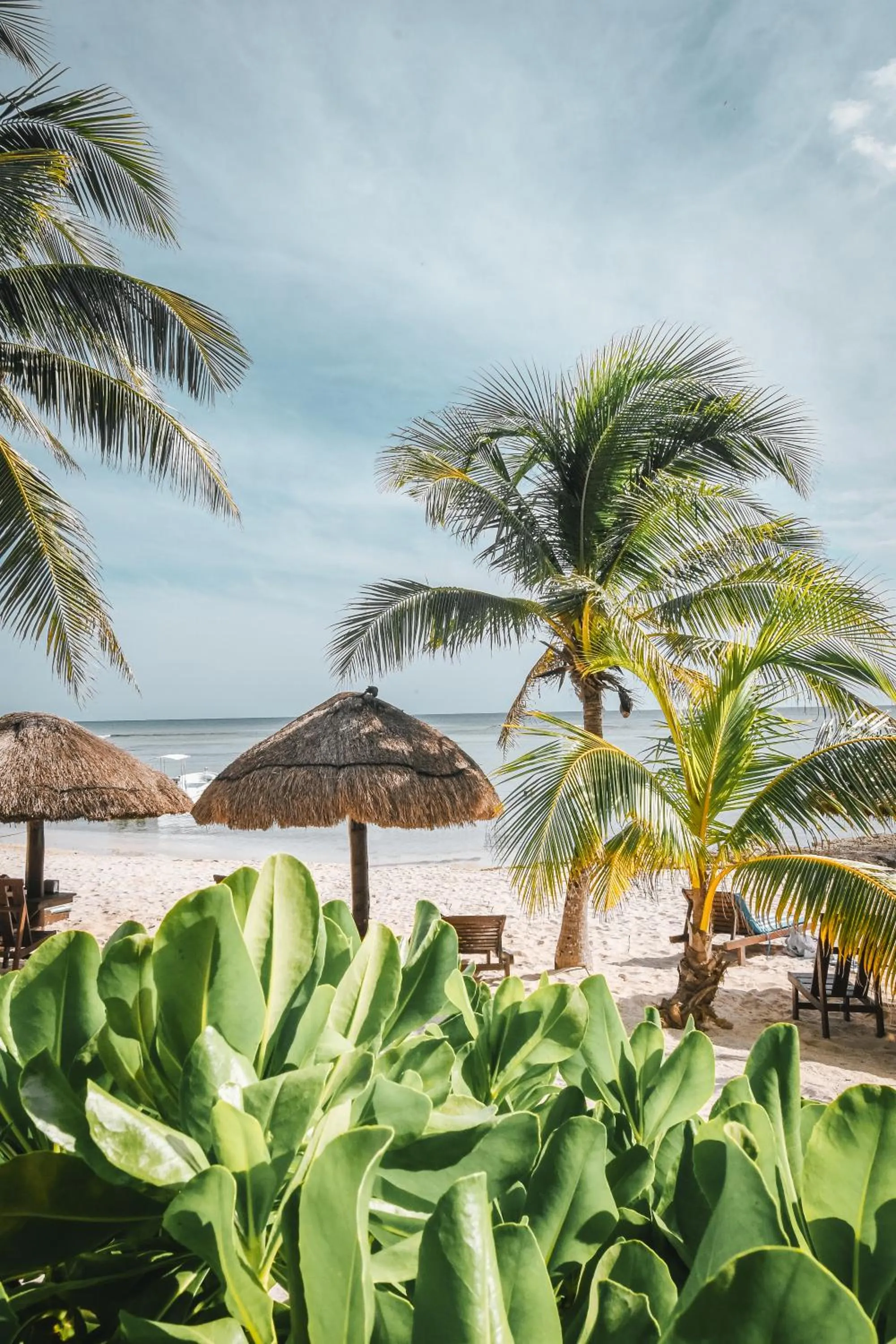 Sea view in Paamul Hotel