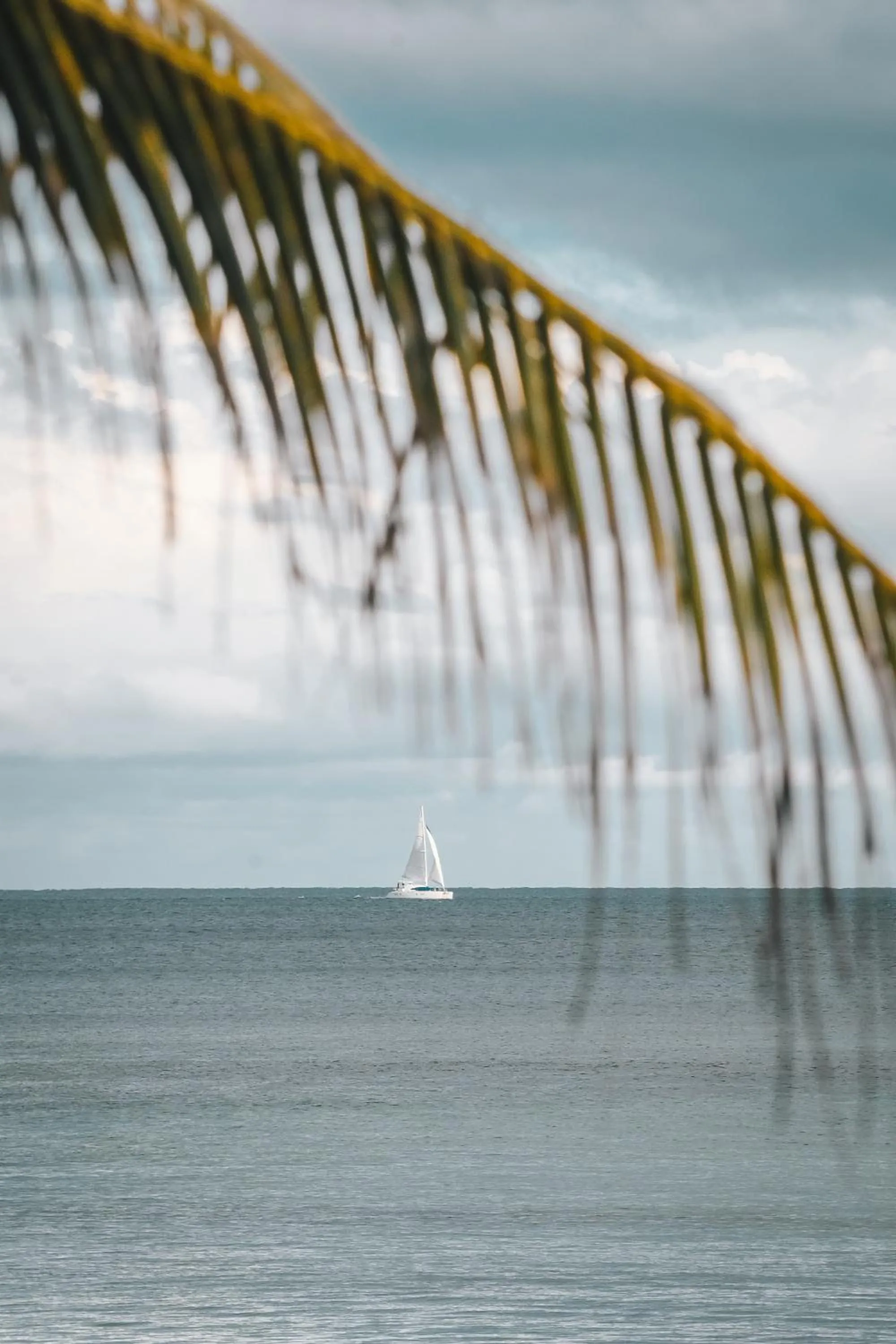 Natural landscape in Paamul Hotel
