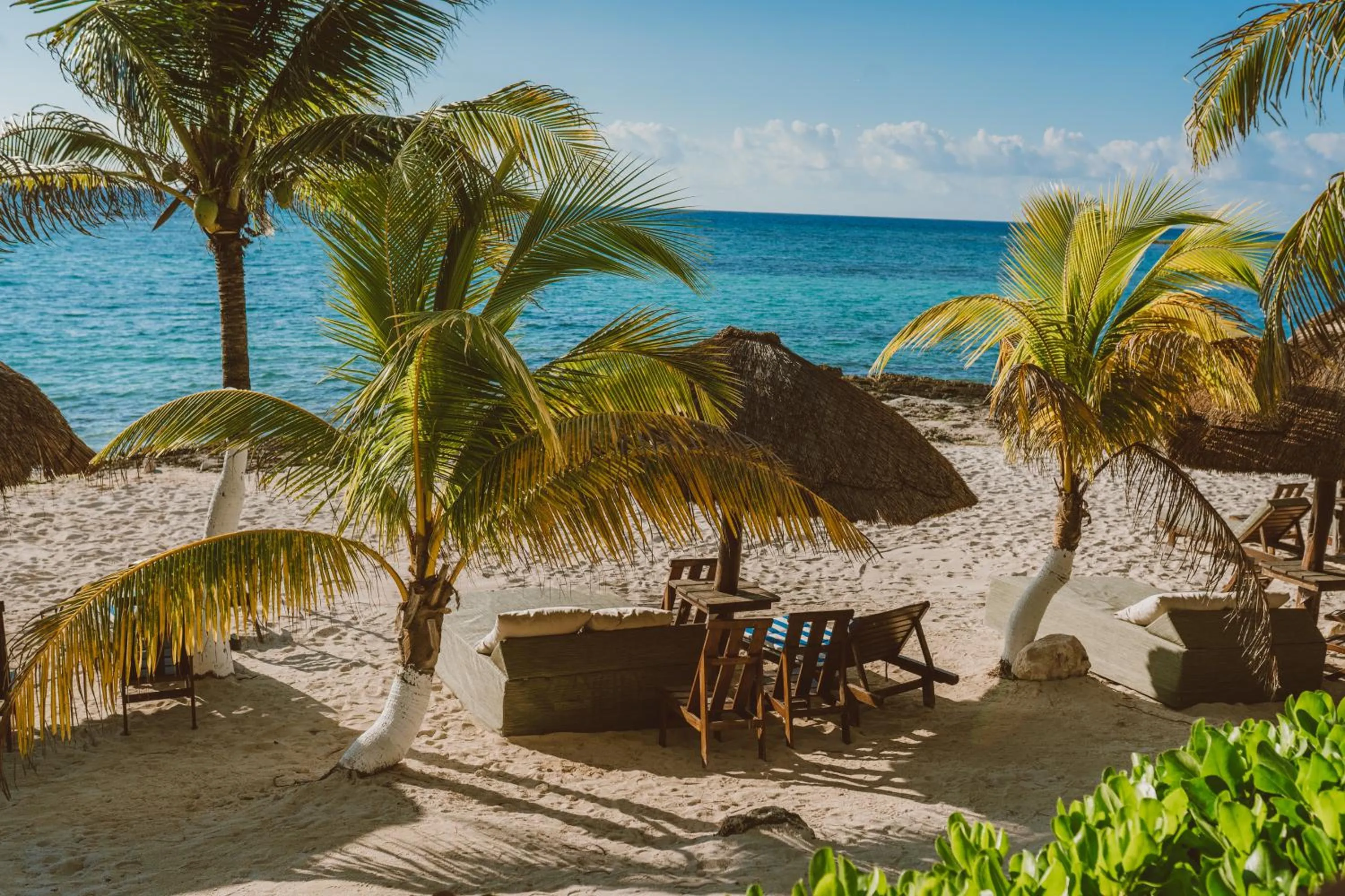 Natural landscape in Paamul Hotel