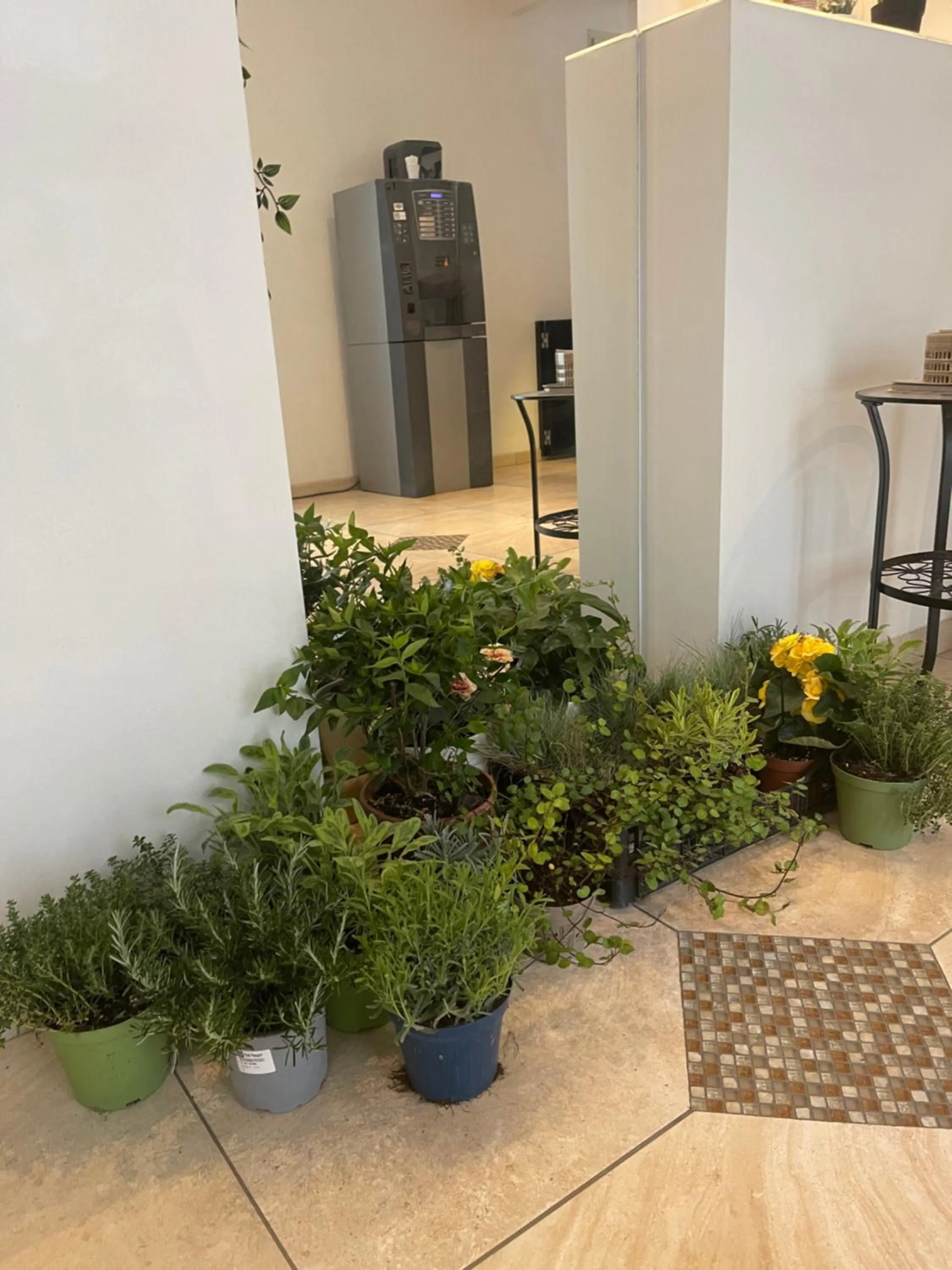 Lobby or reception in Residence Siesta