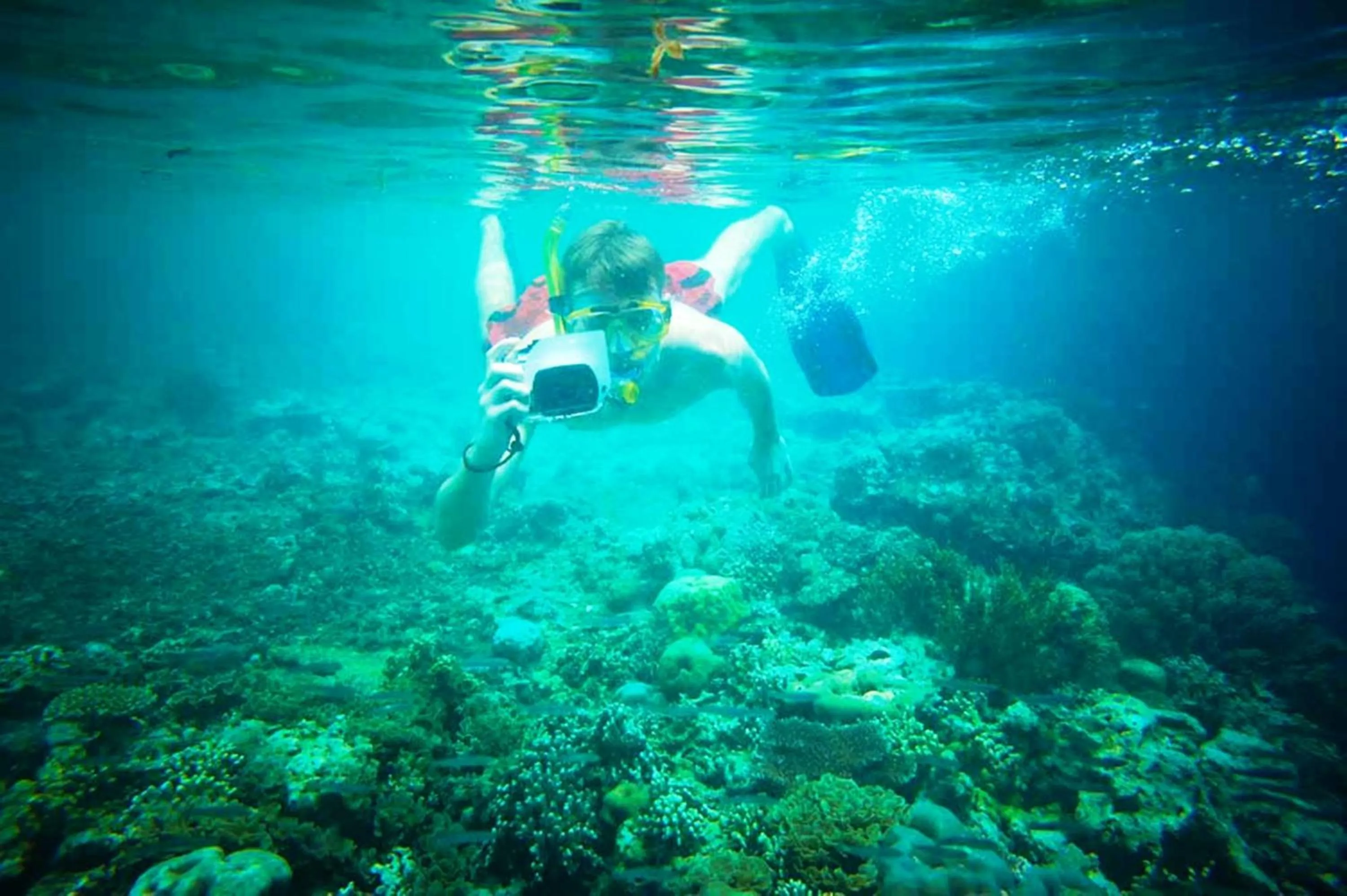 Snorkeling in Kubuku Eco Dive Lodge and Yoga