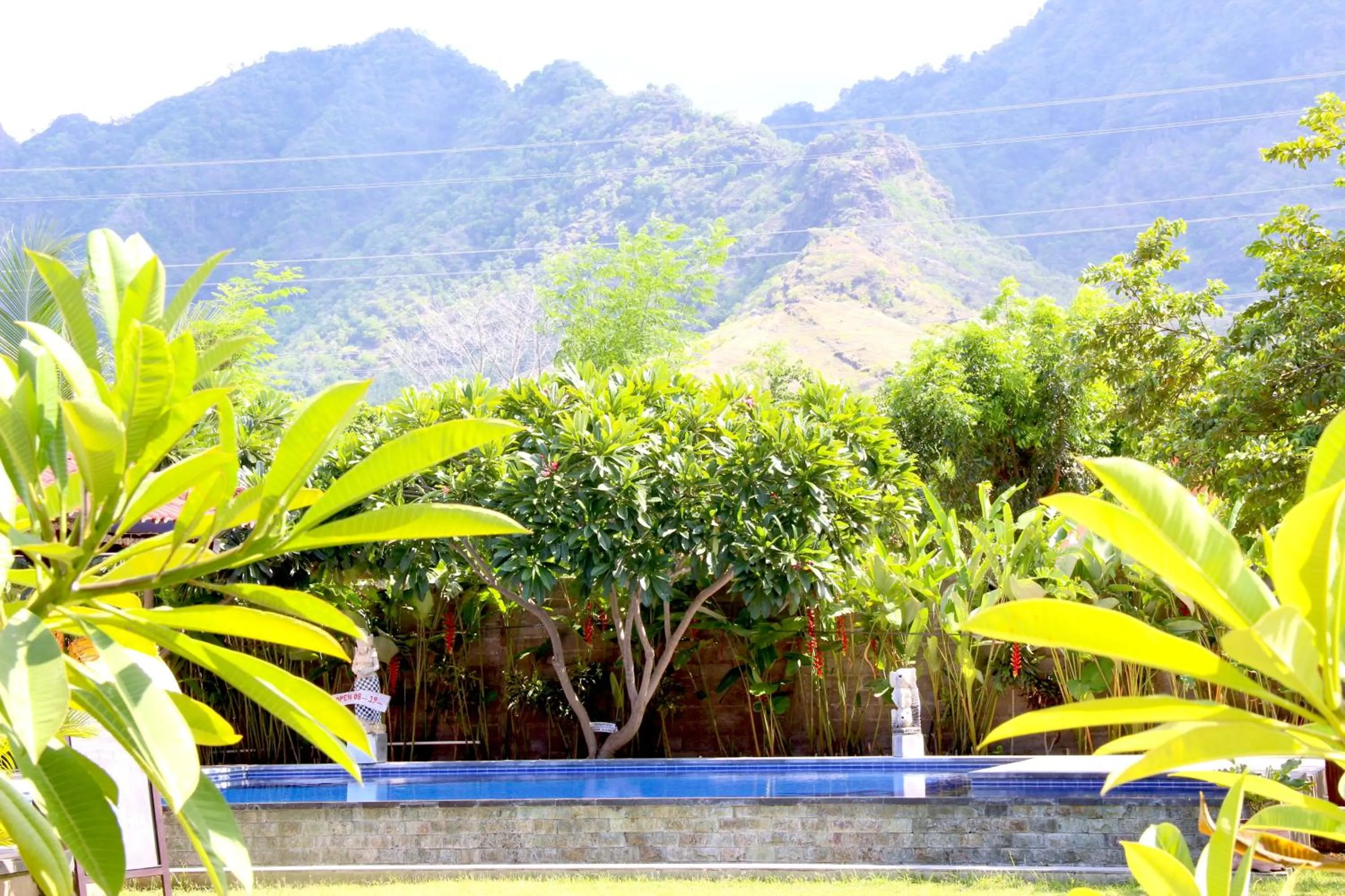 Garden view in Kubuku Eco Dive Lodge and Yoga