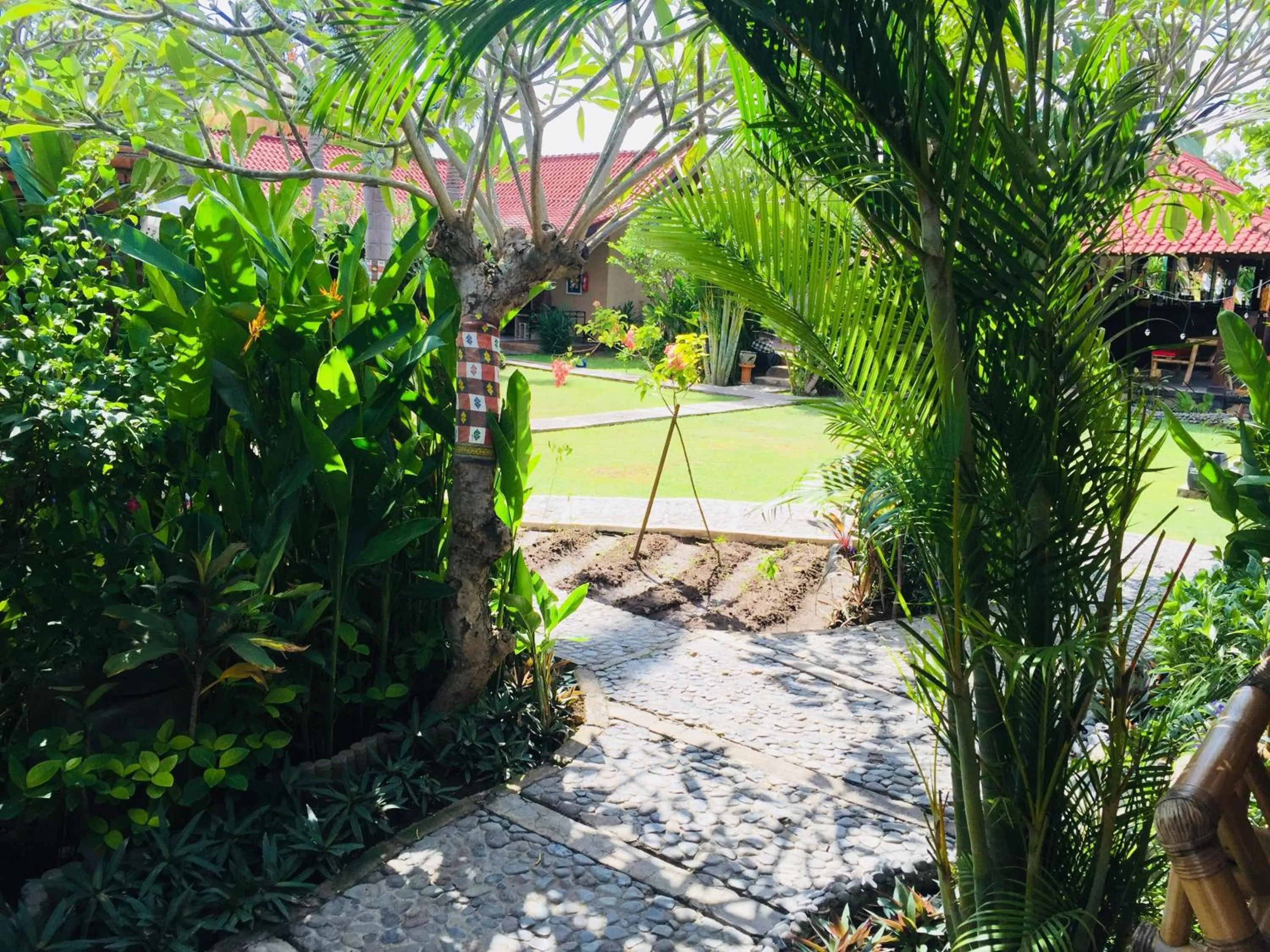 Balcony/Terrace in Kubuku Eco Dive Lodge and Yoga