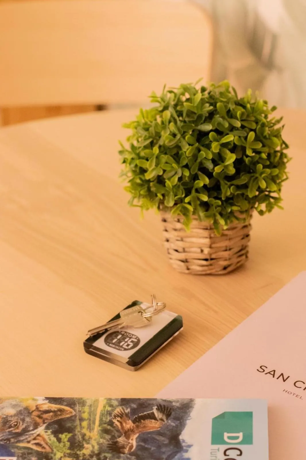 Hotel Escuela San Cristobal