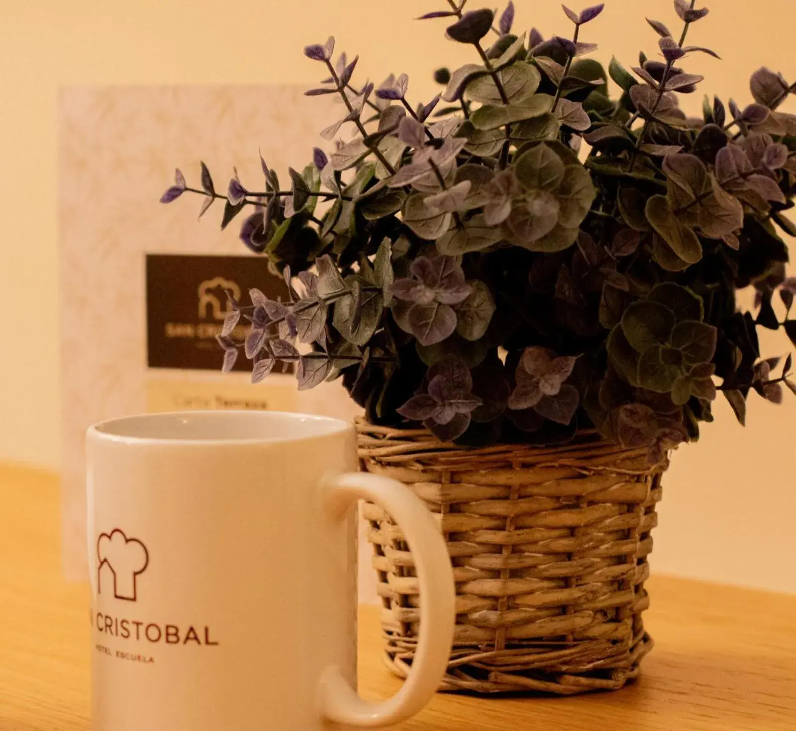 Standard Twin Room - single occupancy in Hotel Escuela San Cristobal Standard Twin Room - single occupancy in Hotel Escuela San Cristobal