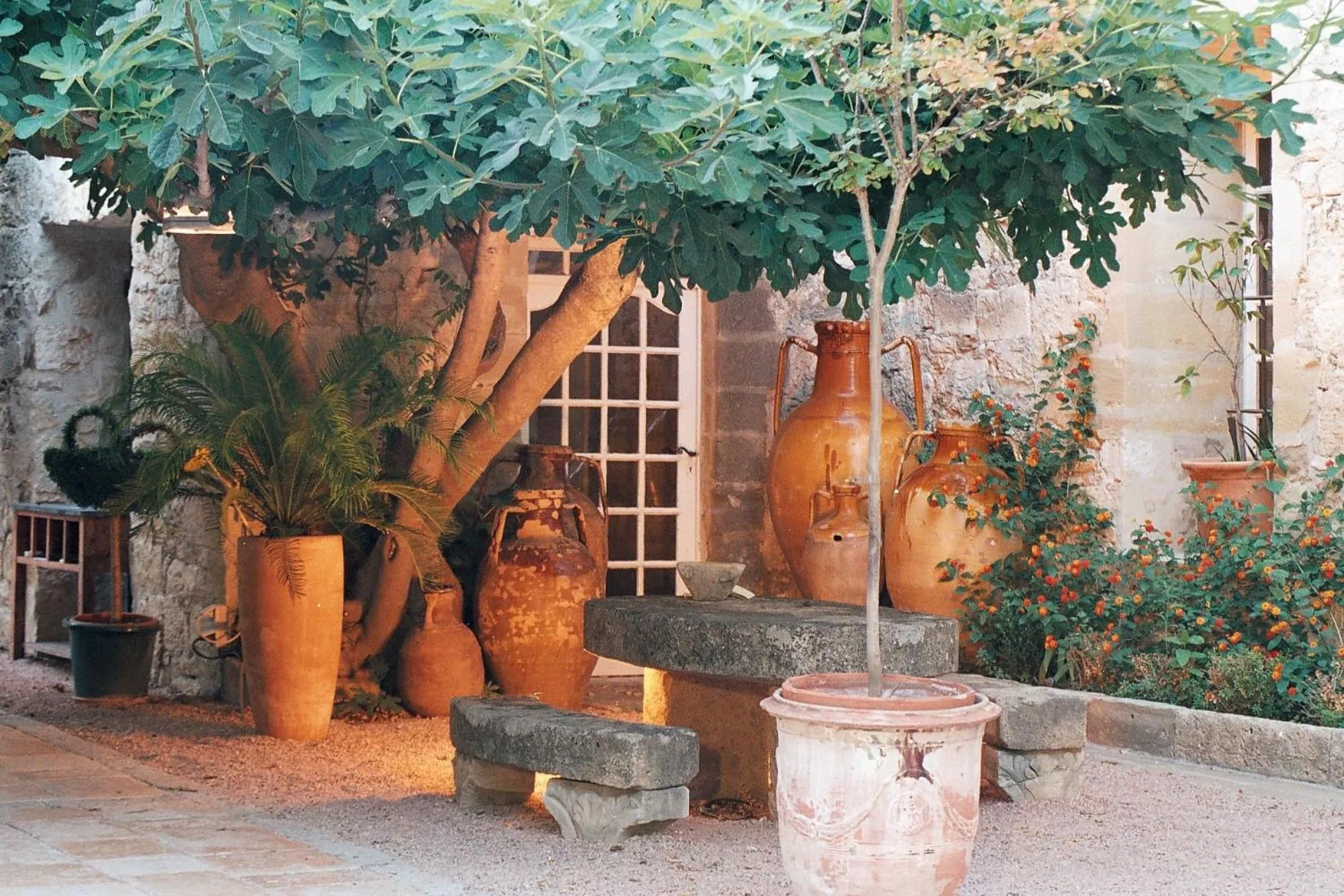 Patio in Château d'Arpaillargues - TERITORIA