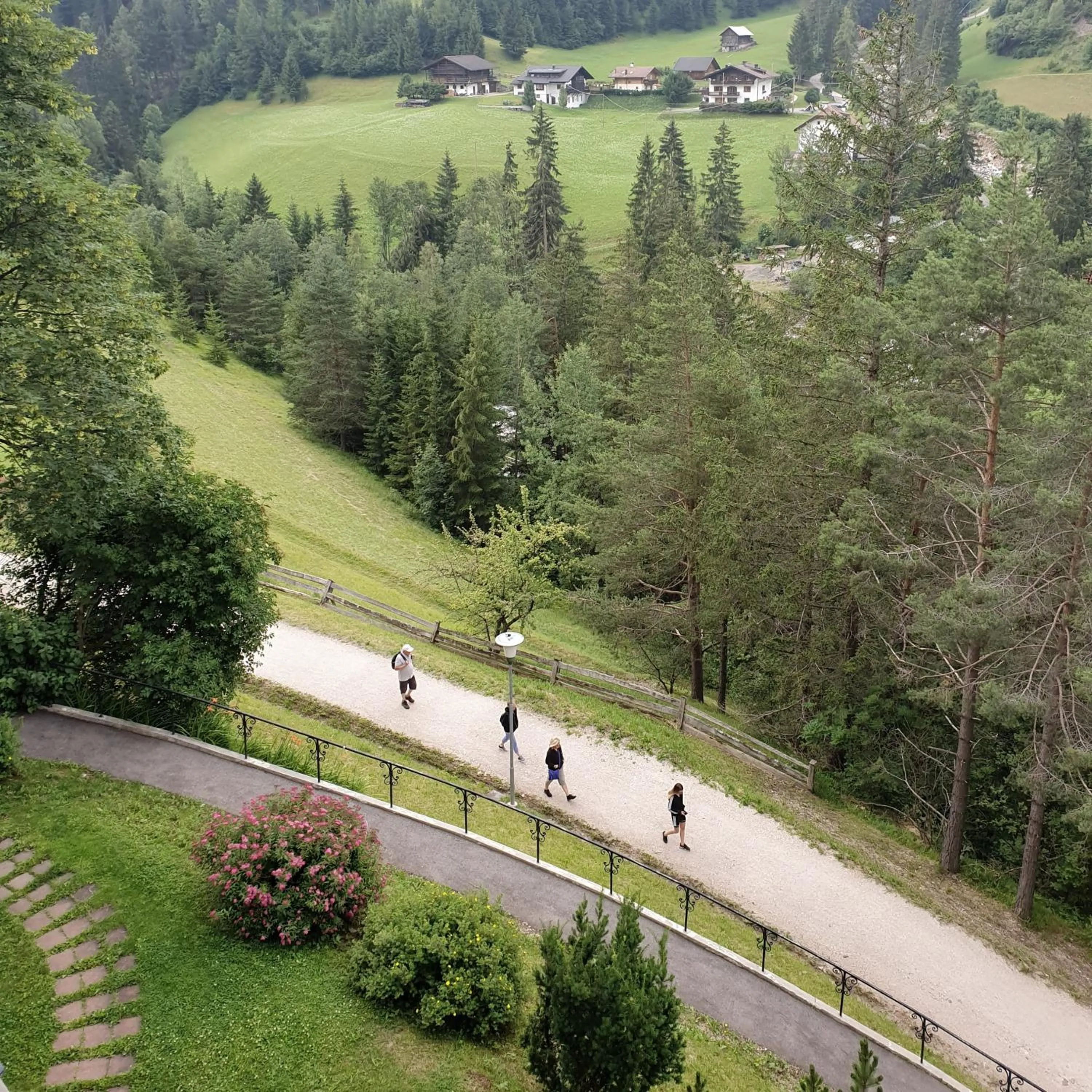 Natural landscape in Alpstay - Chalet Hotel Hartmann - Adults Only