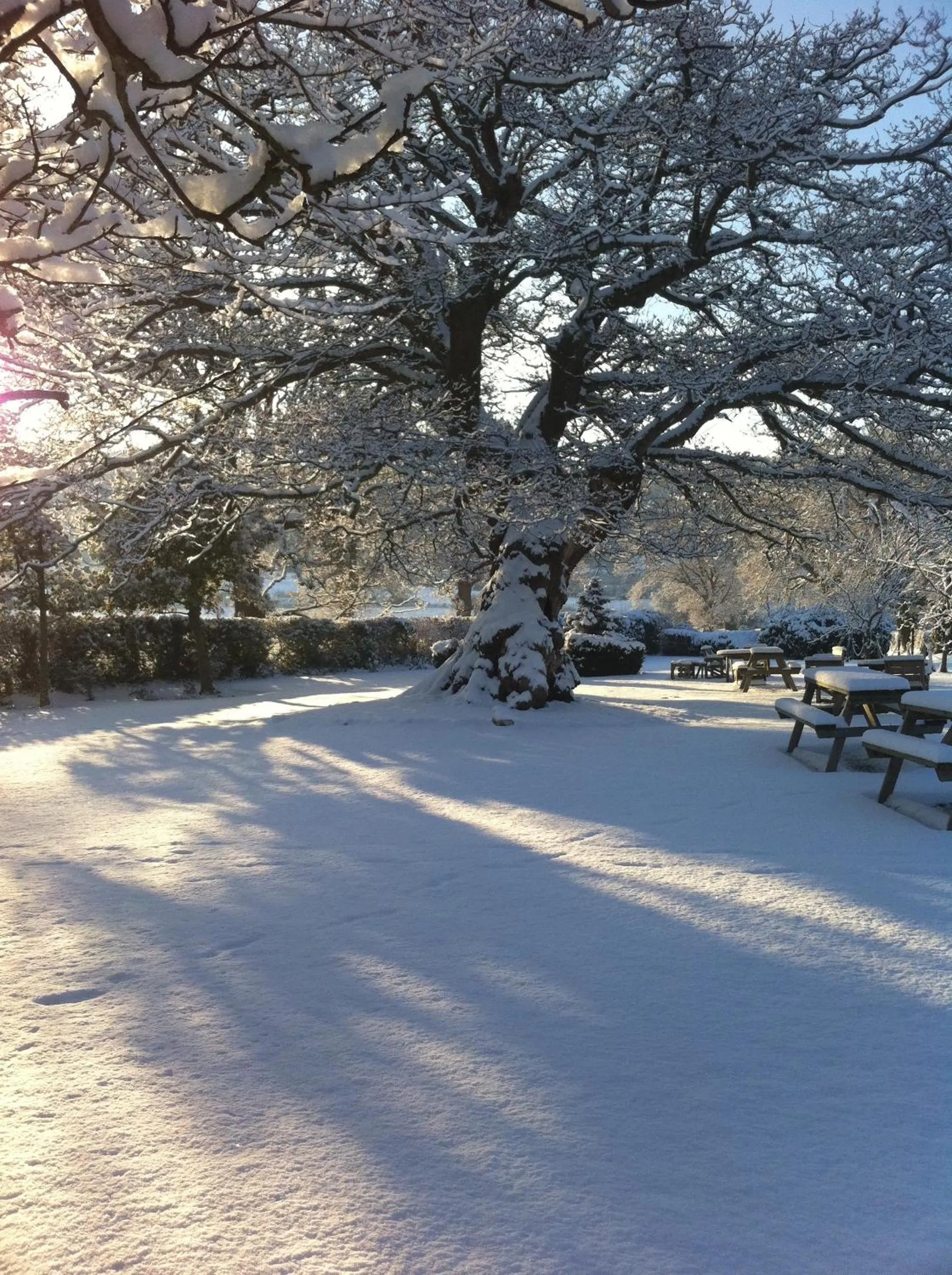 Winter in The Kinmel & Kinspa