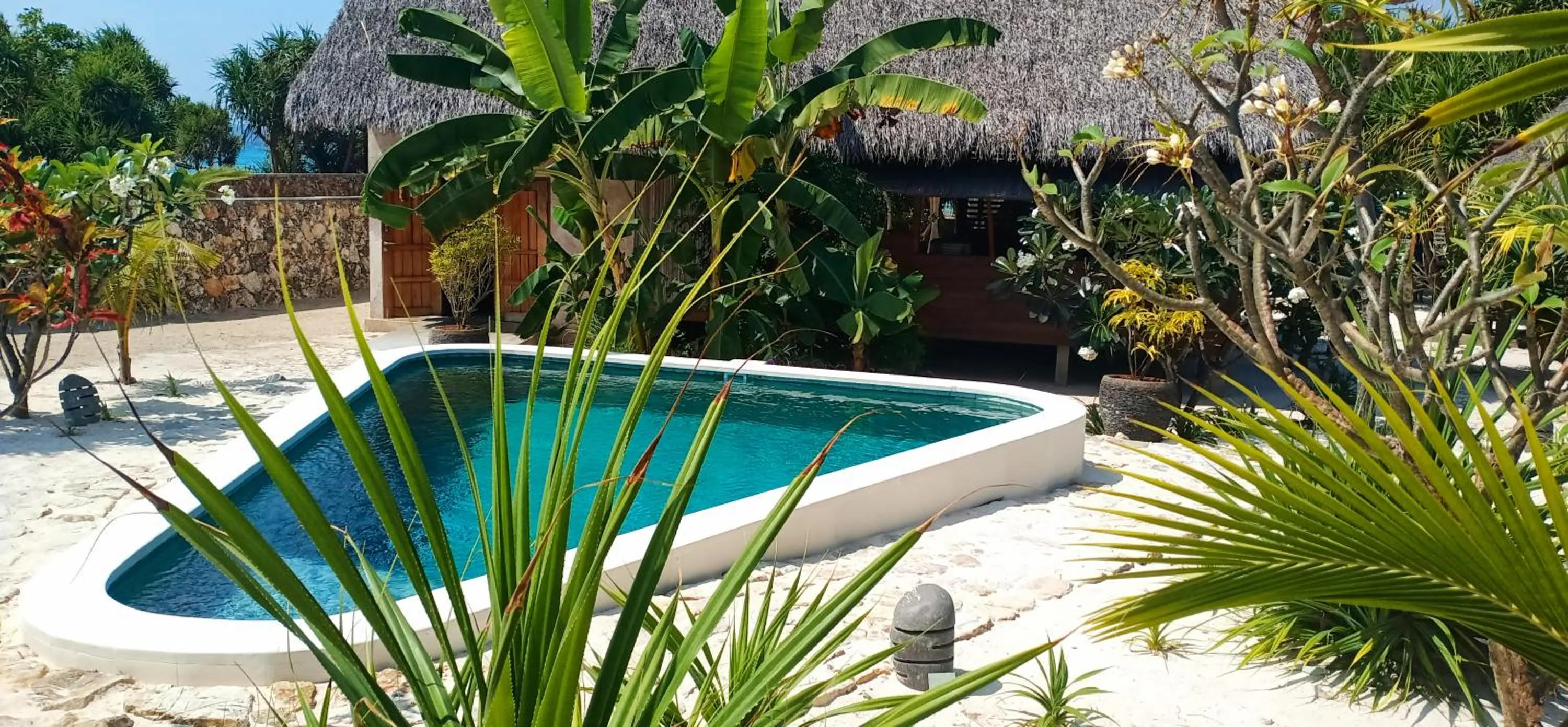 Pool view in Loedi Bungalows Rote