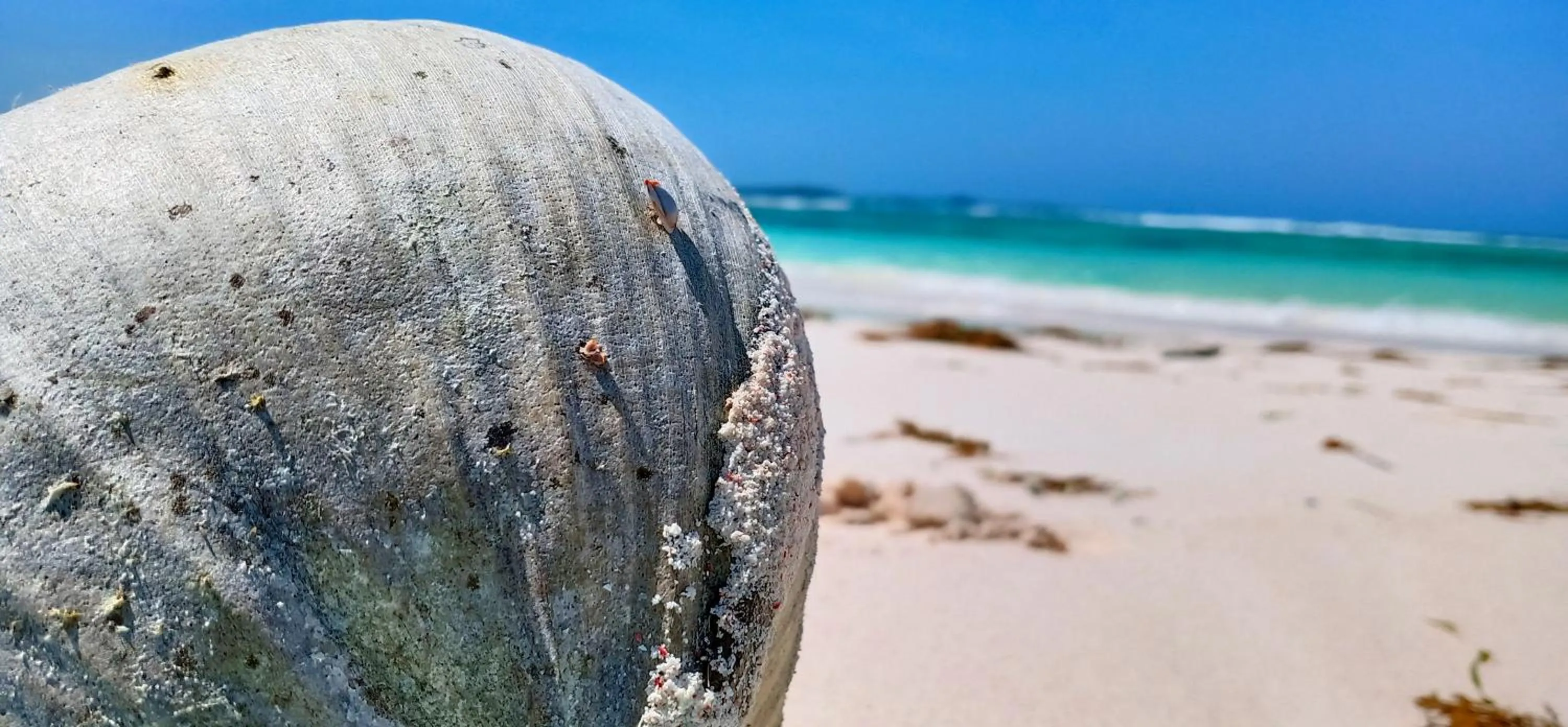 Beach in Loedi Bungalows Rote