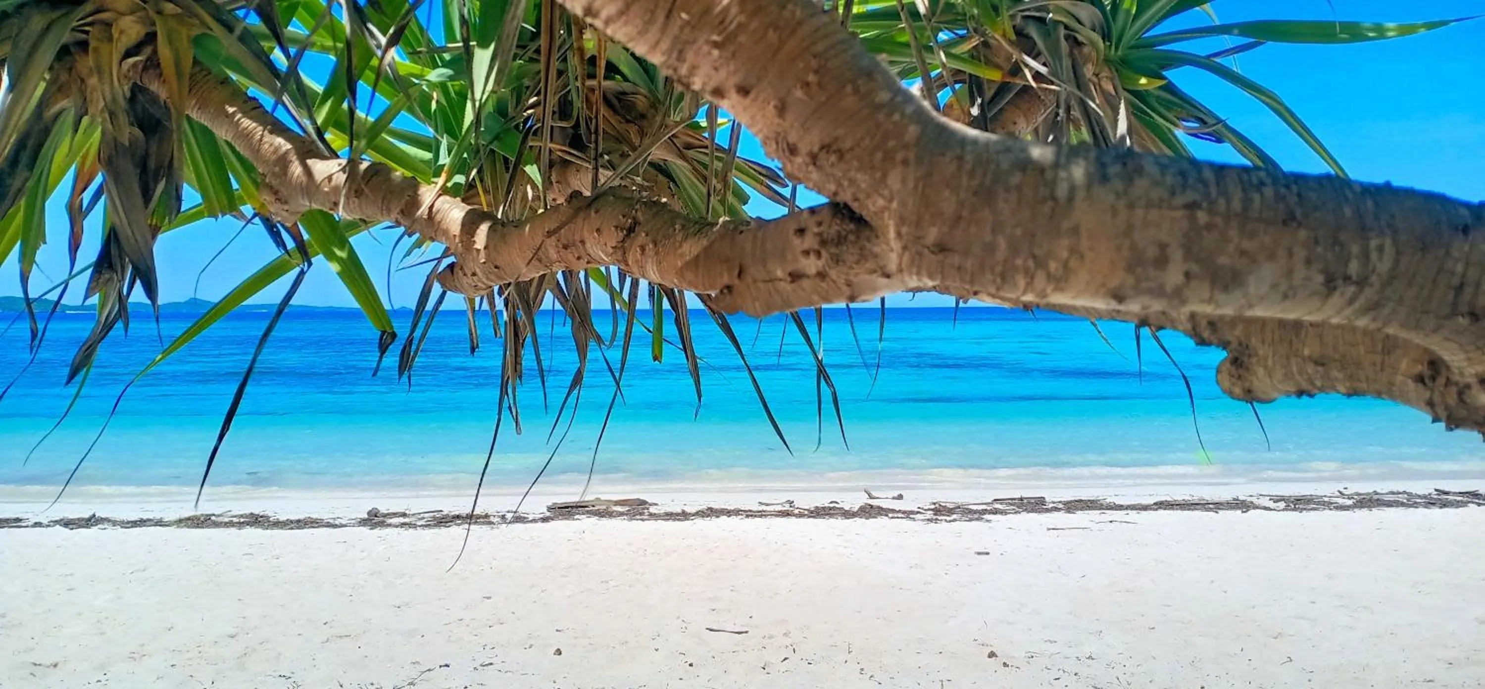 Beach in Loedi Bungalows Rote