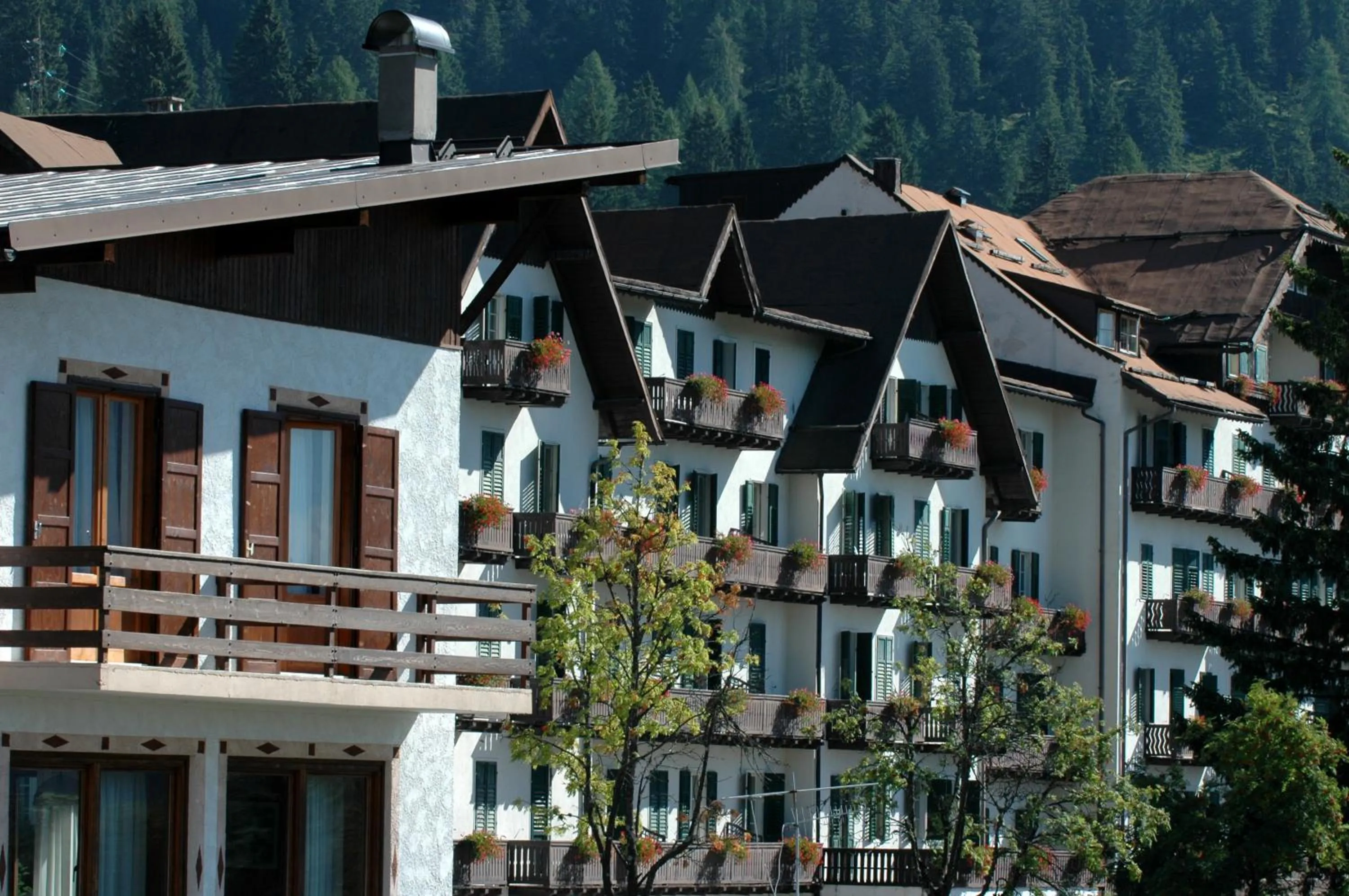 Facade/entrance in TH San Martino - Majestic Dolomiti Hotel