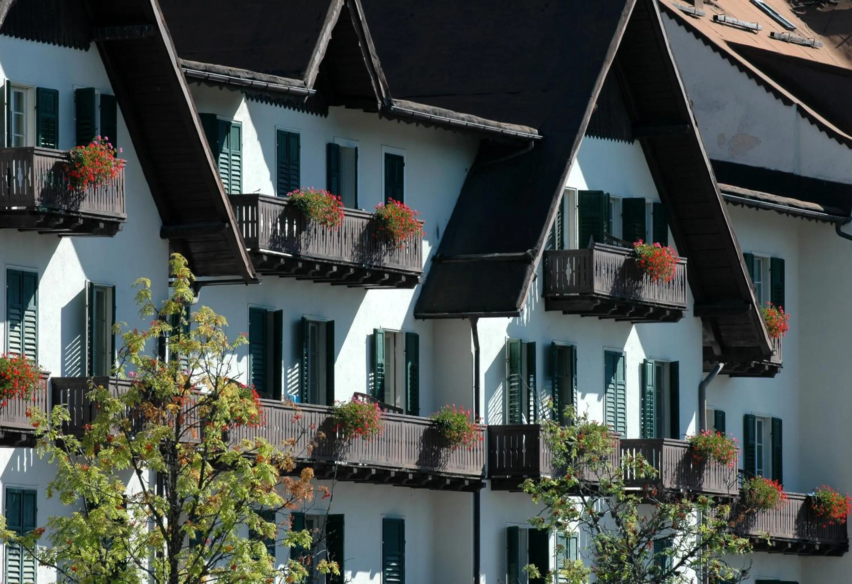 Facade/entrance in TH San Martino - Majestic Dolomiti Hotel