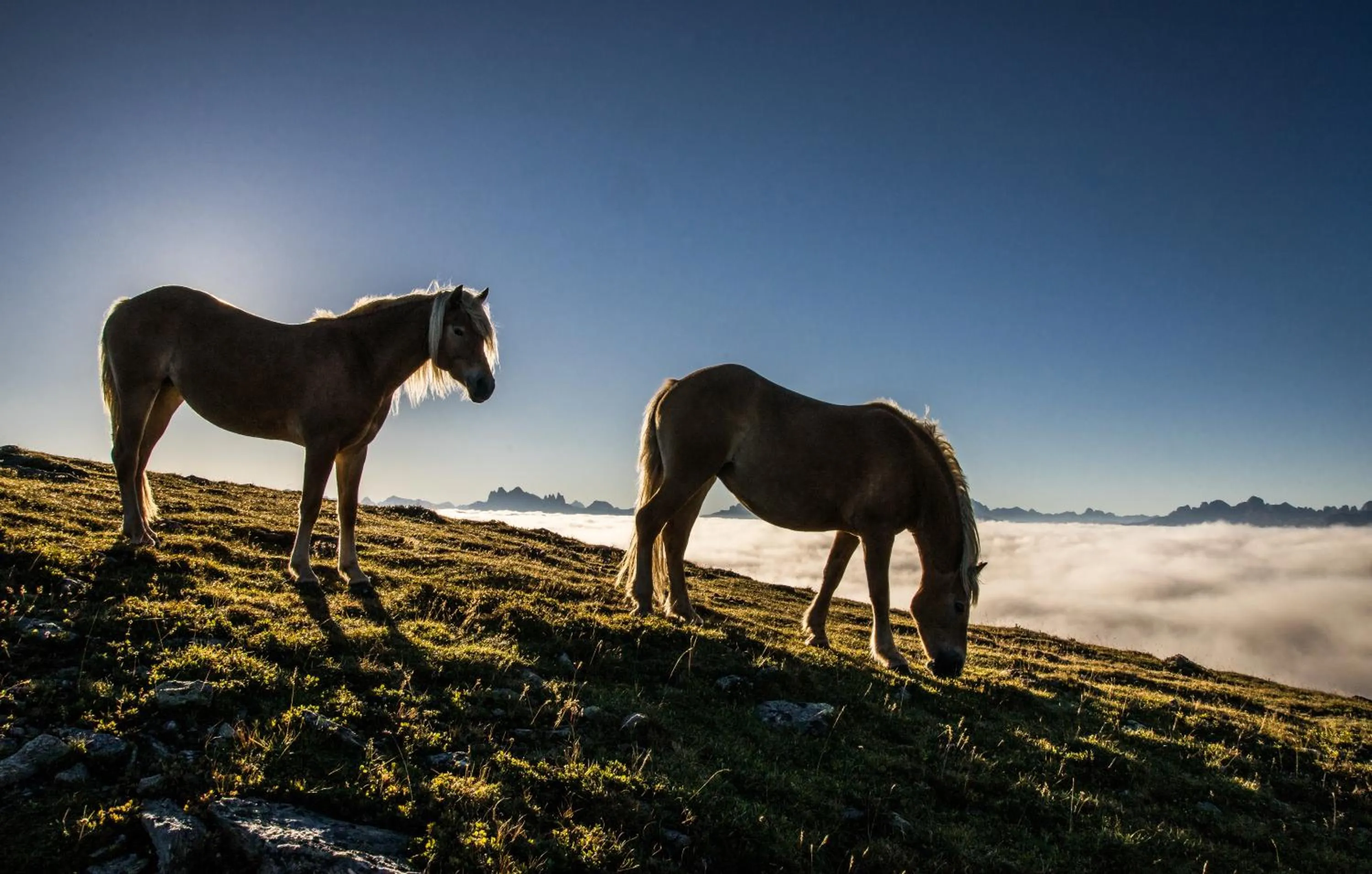 Natural landscape in Aktiv & Relax Hotel Hubertus