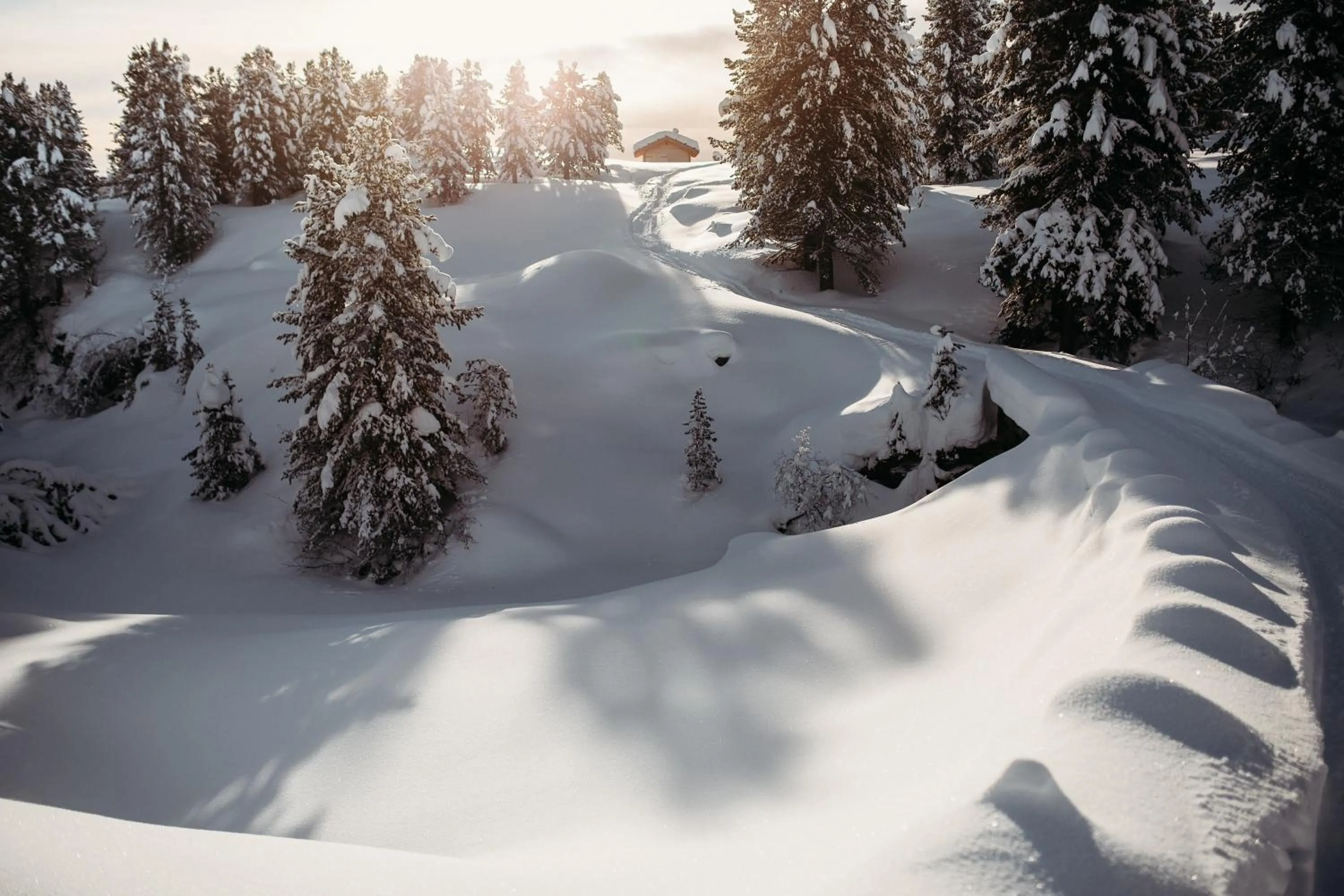 Natural landscape in Aktiv & Relax Hotel Hubertus