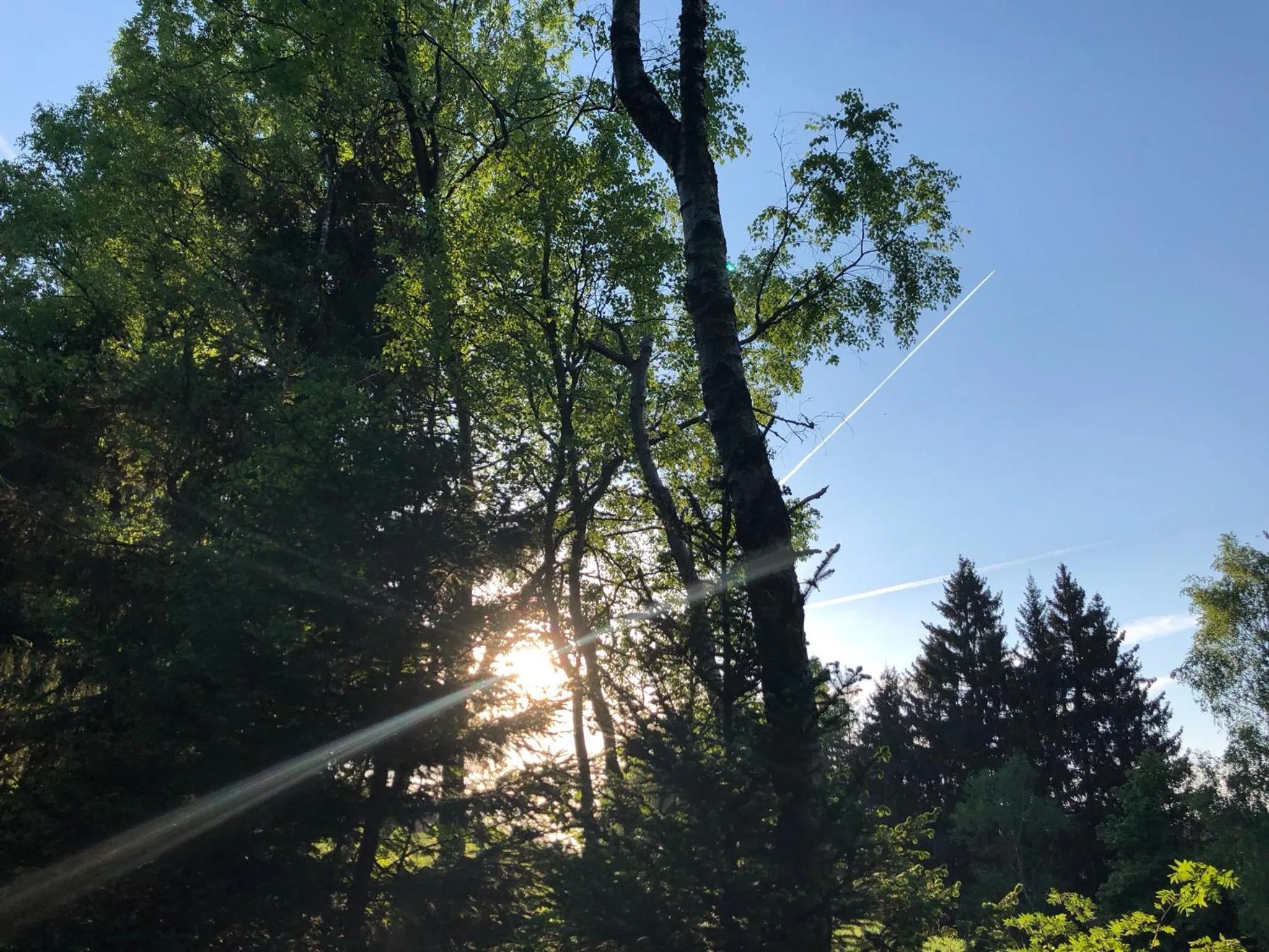 Natural landscape in Pension Raststüb'l