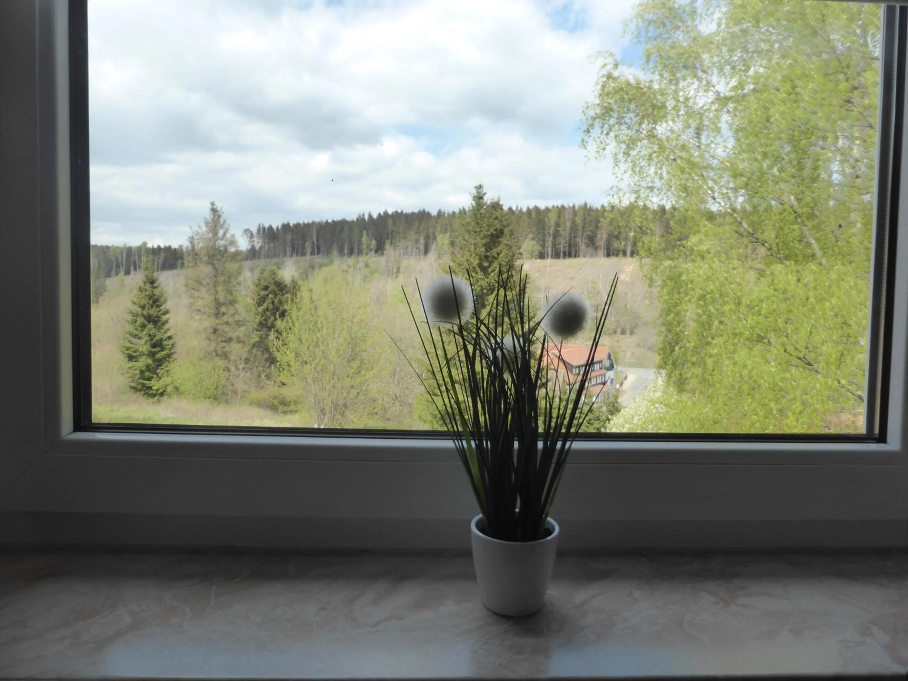 Mountain view in Pension Raststüb'l