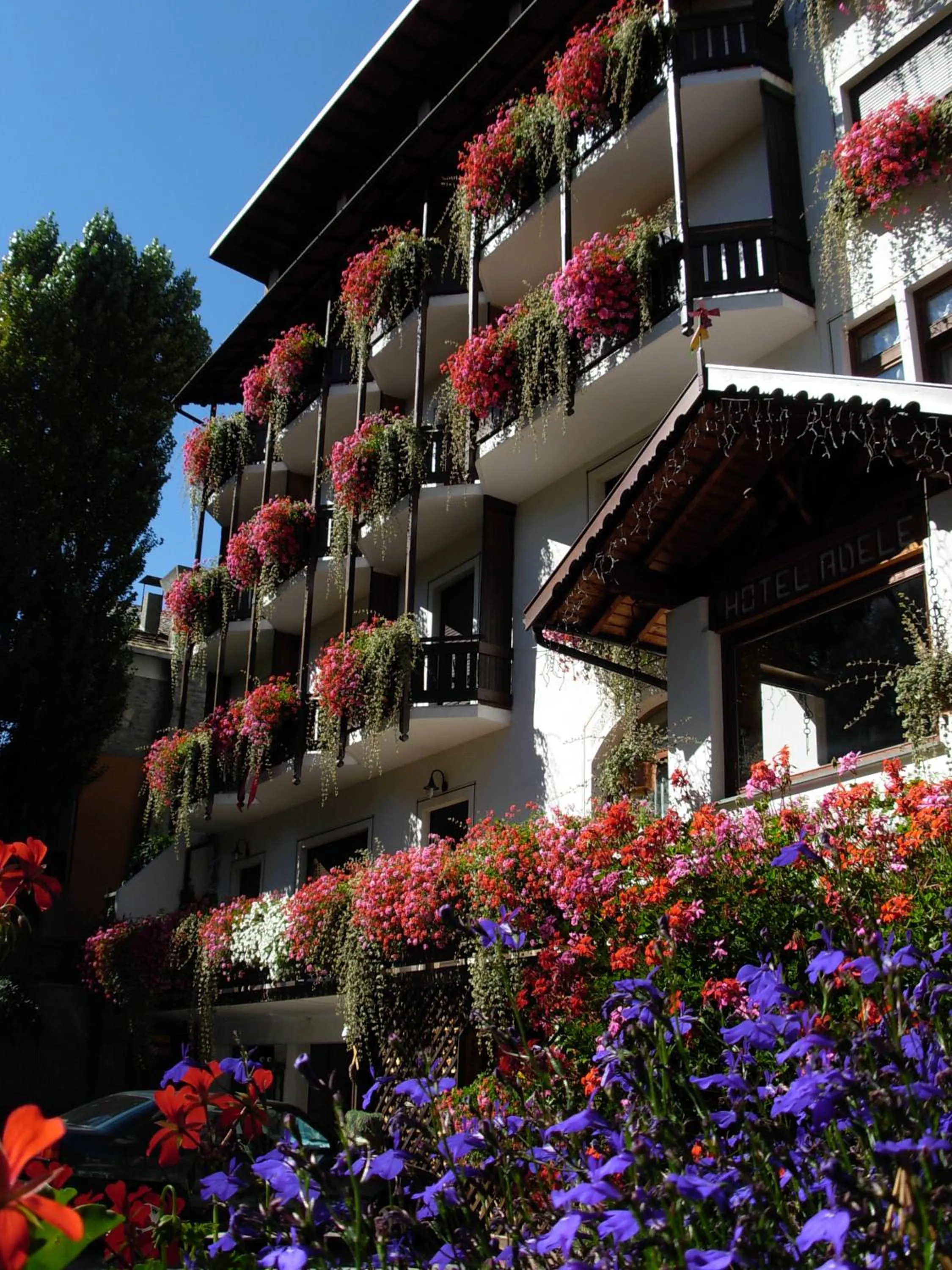 Facade/entrance in Albergo Adele