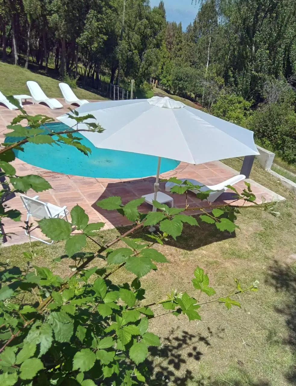 Swimming pool in Buena Vida Social Club