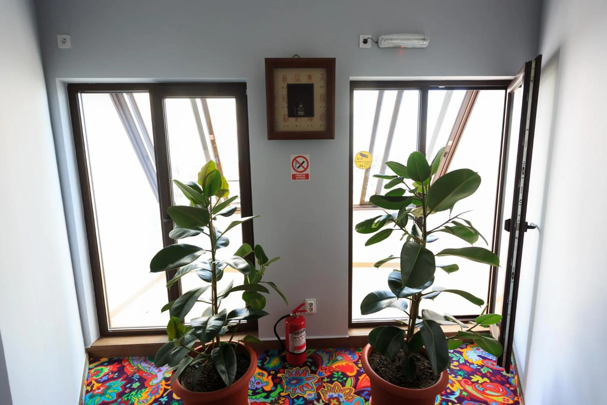 Area and facilities in Corner Center Rental