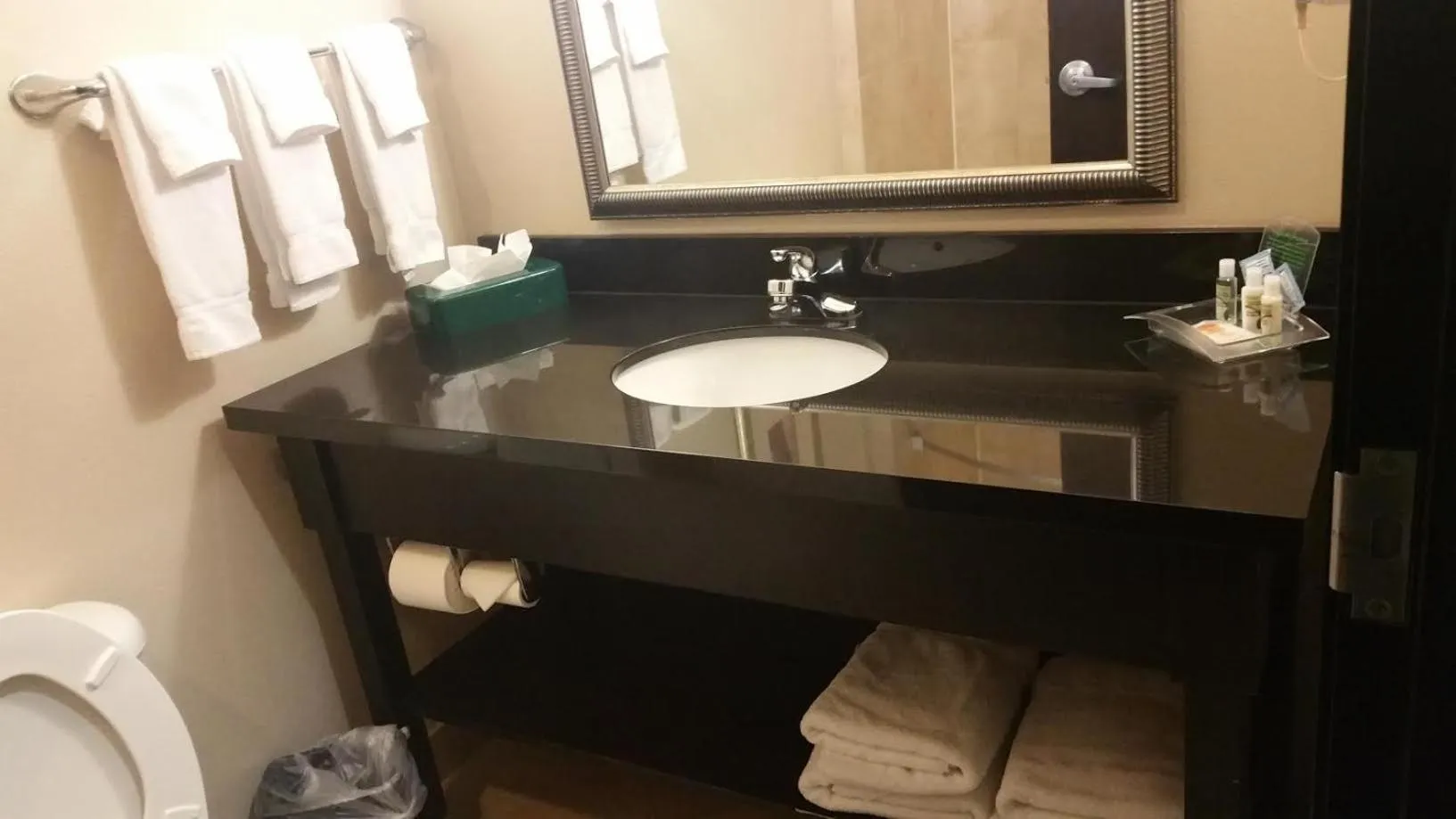 Toilet in Holiday Inn Temple - Belton by IHG